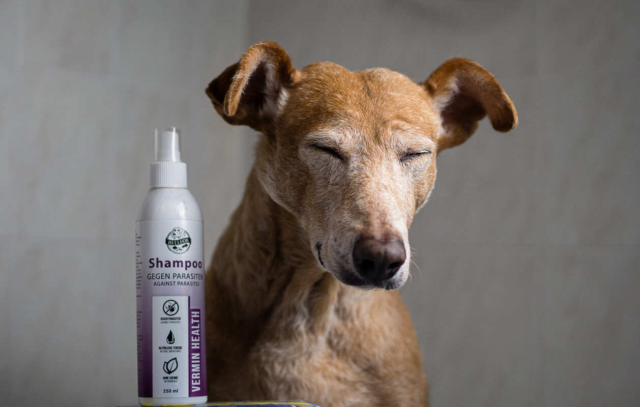 Hundeshampoo Vermin Health - gegen Hautparasiten beim Hund - 250ml