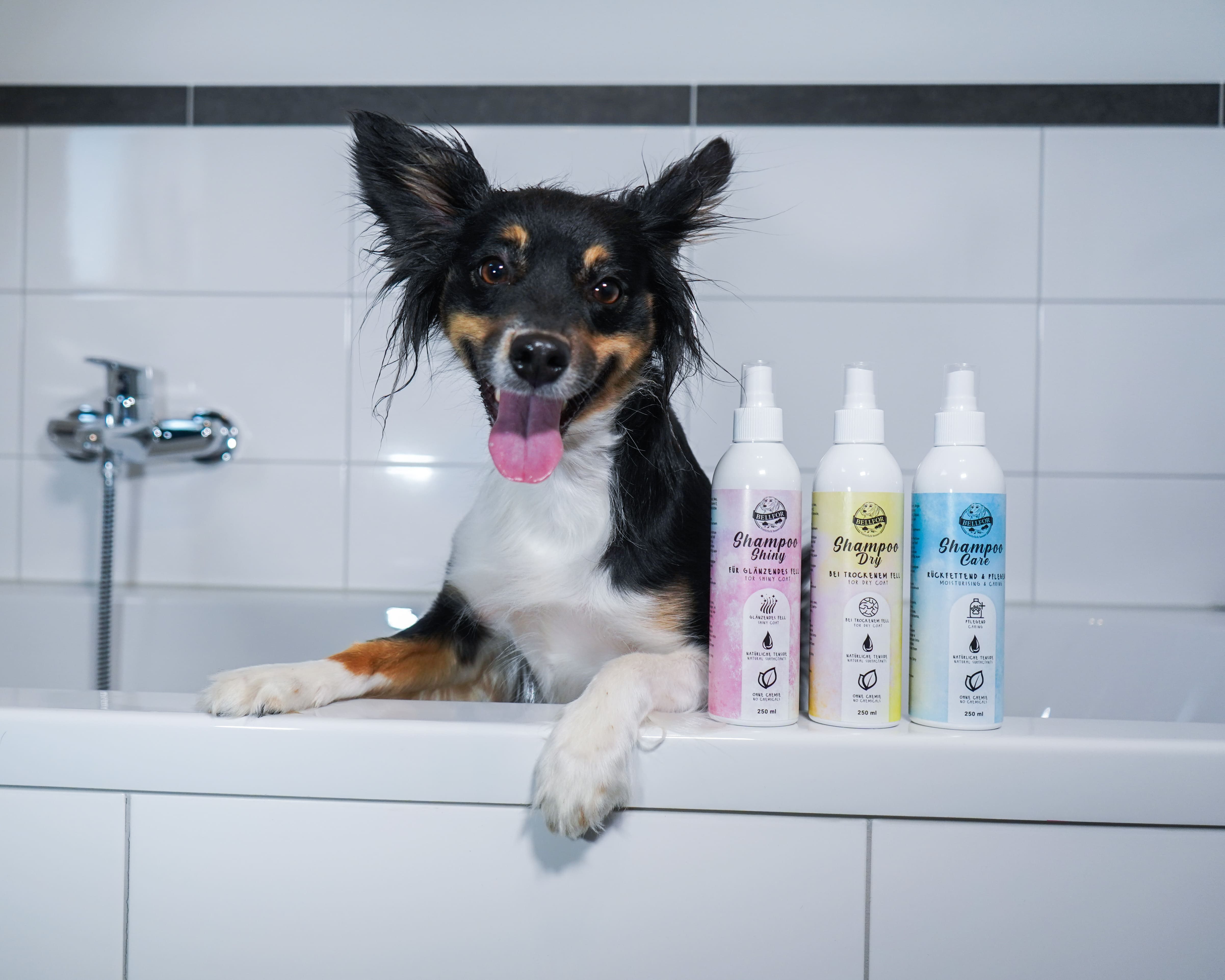 Fellpflege für Hunde - Hundeshampoo Dry bei trockenem Fell - 250ml