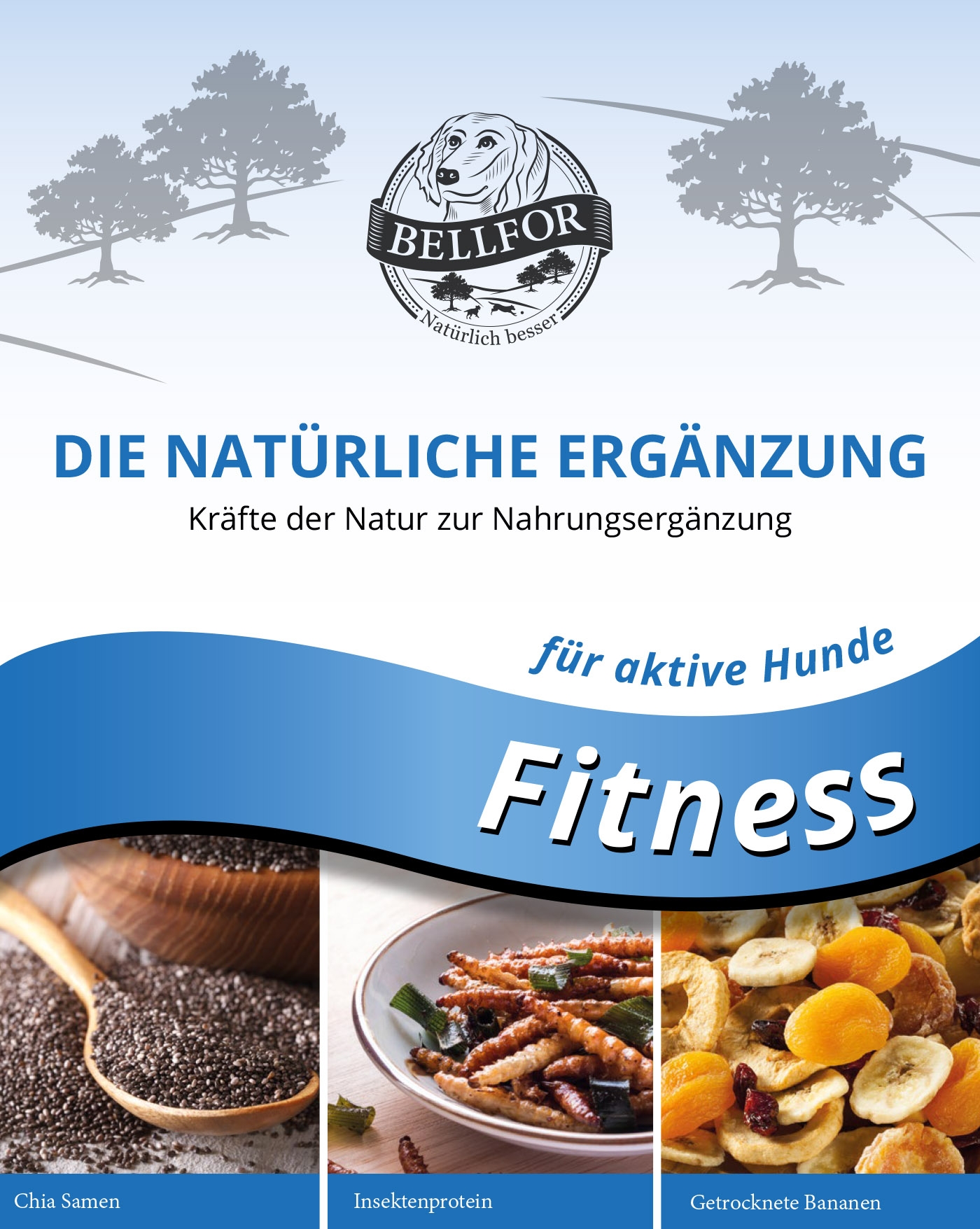 Fitness Pulver für Sporthunde - 250 g