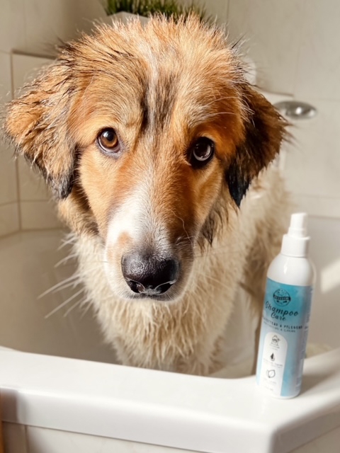Fellpflege für Hunde - Hundeshampoo Care - Rückfettend und Pflegend - 250ml