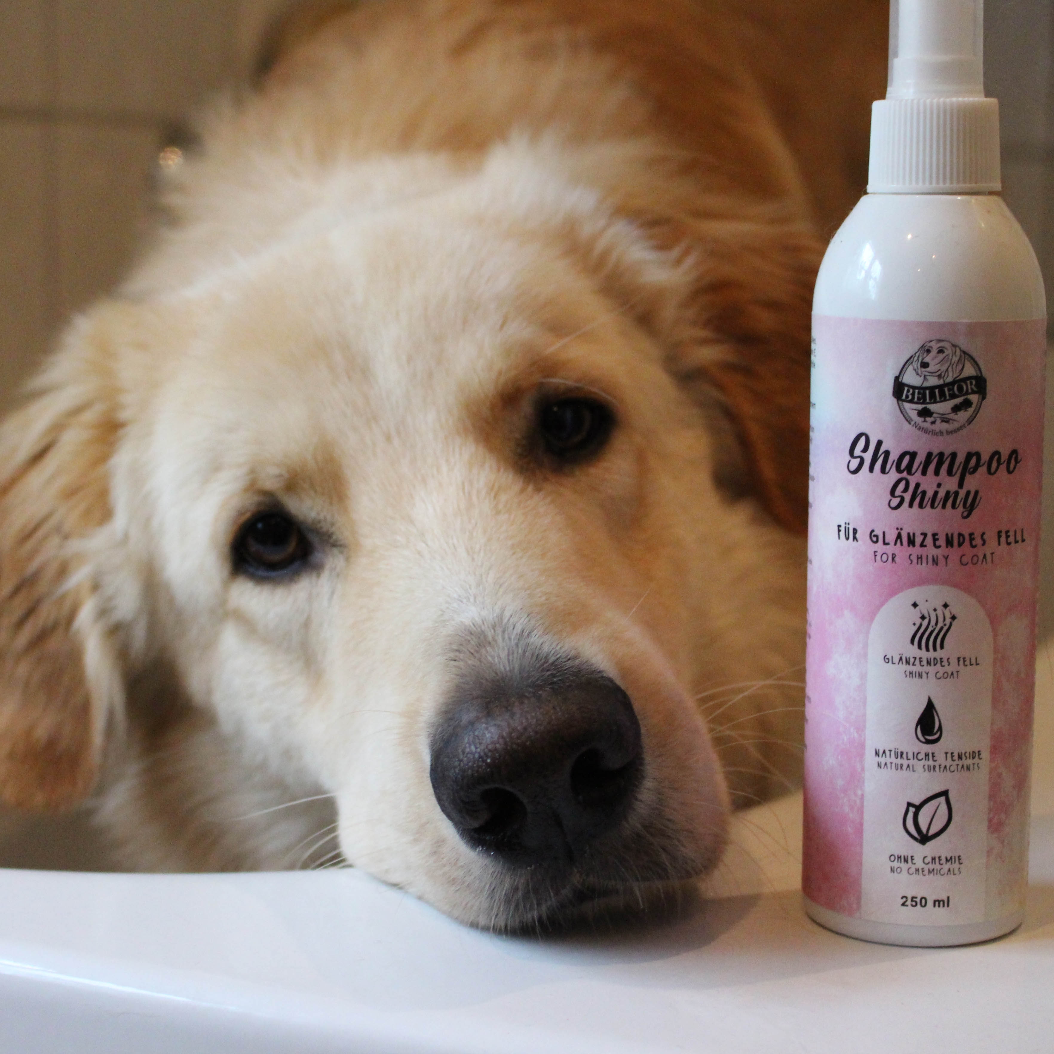 Fellpflege für Hunde - Hundeshampoo Shiny für glänzendes Fell - 250ml
