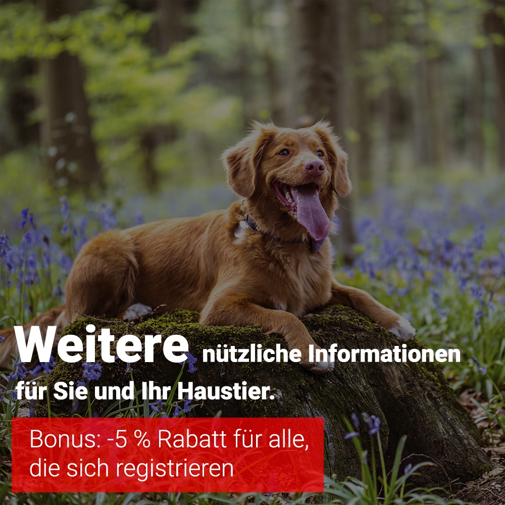 per E-Mail erhalten.