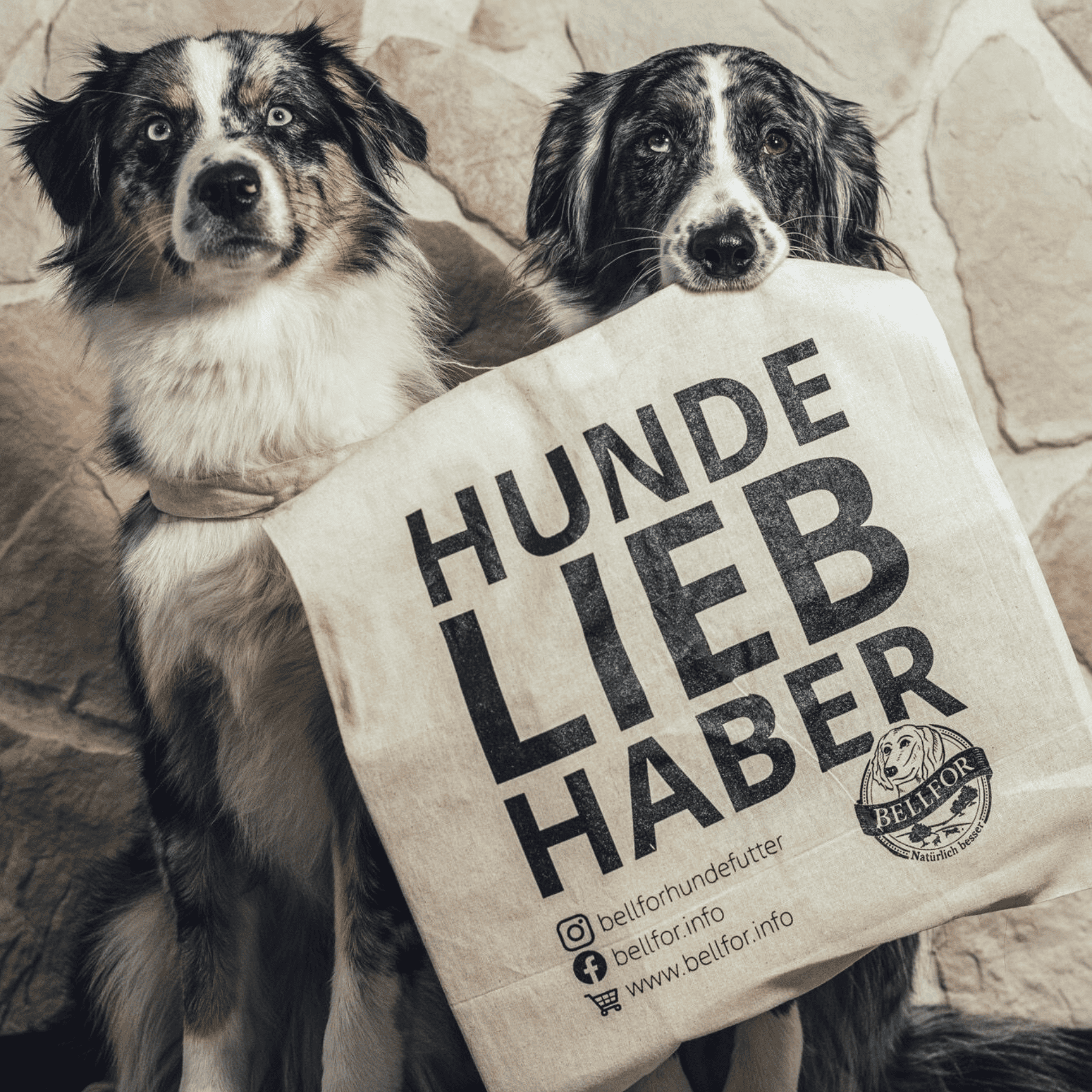 Cavalier Futter Set - Freiland-Schmaus 2,5 kg + Shiimun Skin 50 g + Fleischstreifen Huhn 100 g + 1 Jutebeutel