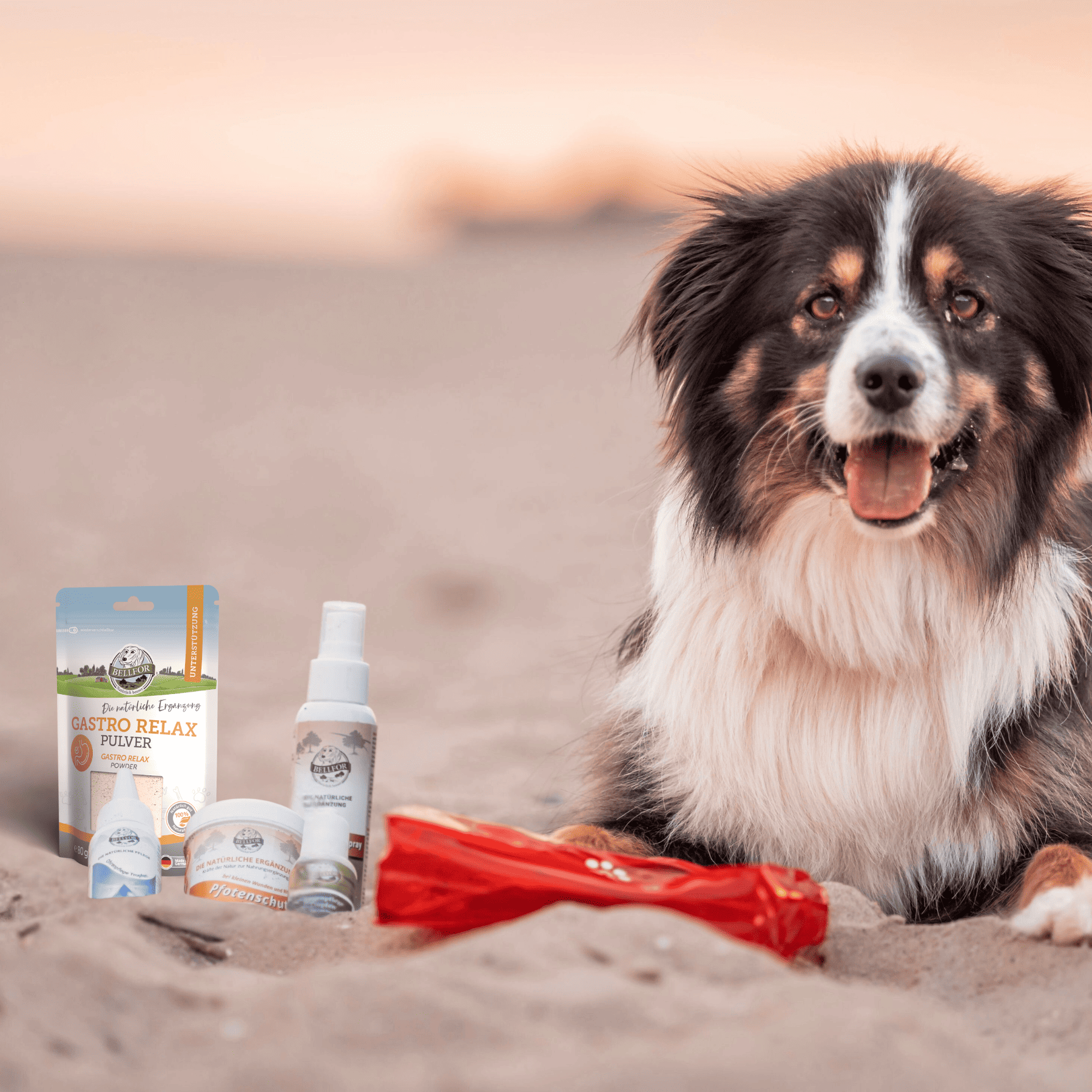 Wichtige Produkte für Ihre Hunde-Reiseapotheke als günstiges Sparset
