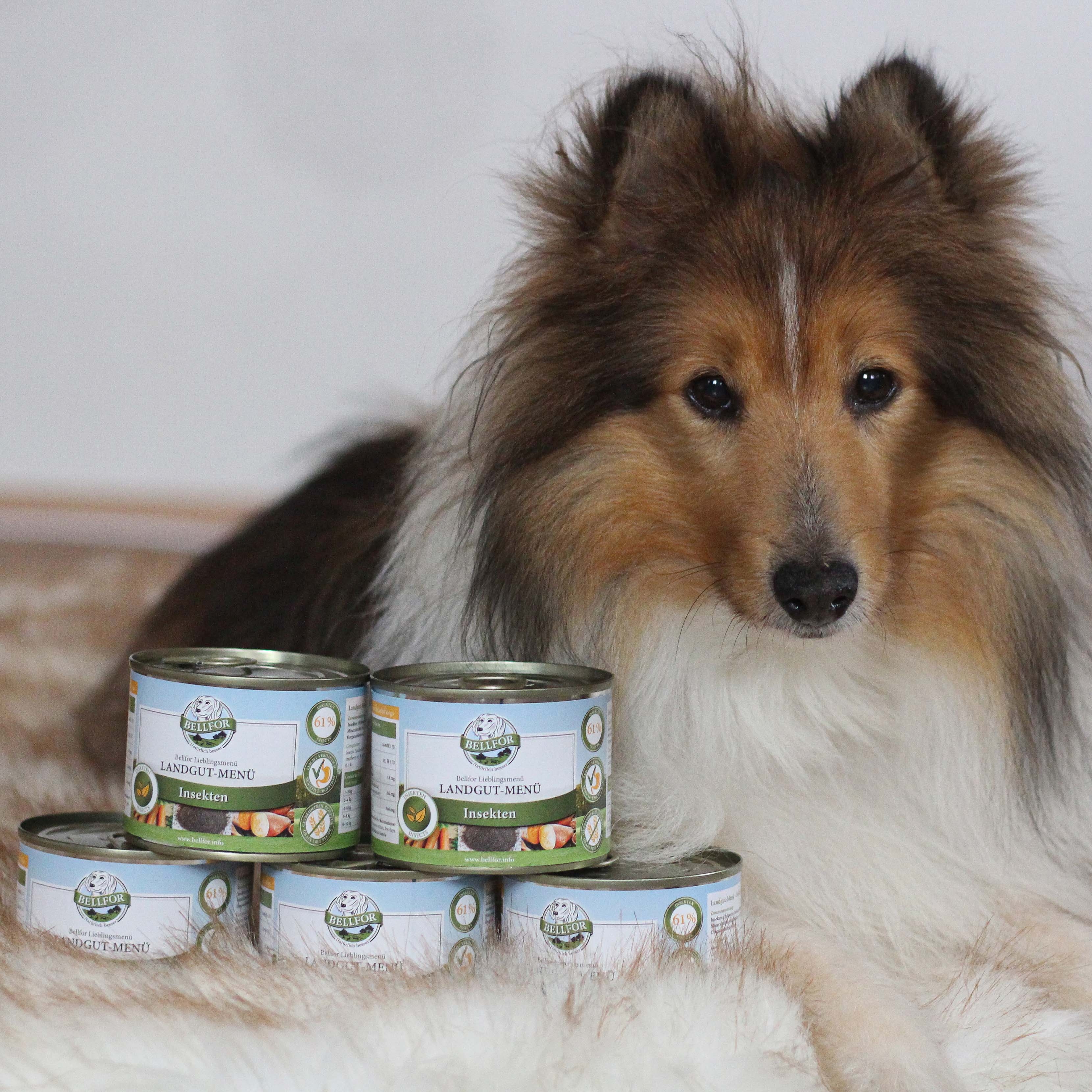 Hypoallergenes Hundefutter Nass mit Insekten - Landgut-Menü - 6 x 200 g