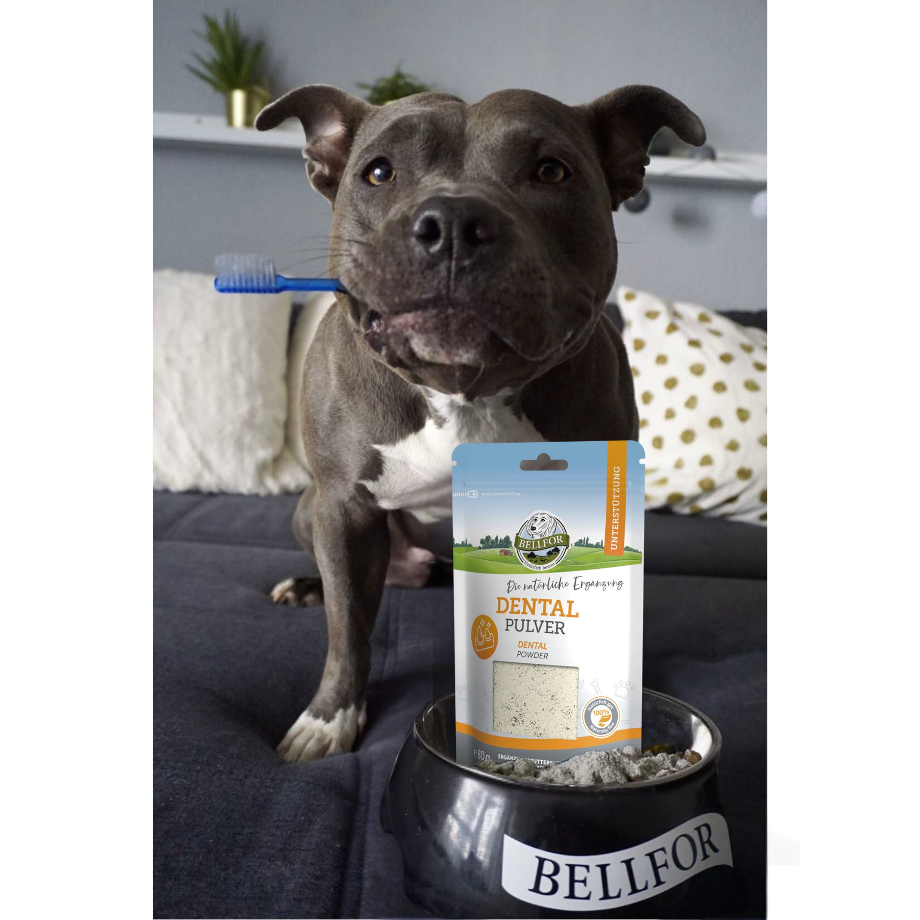 Dental Pulver für Hunde - 80 g
