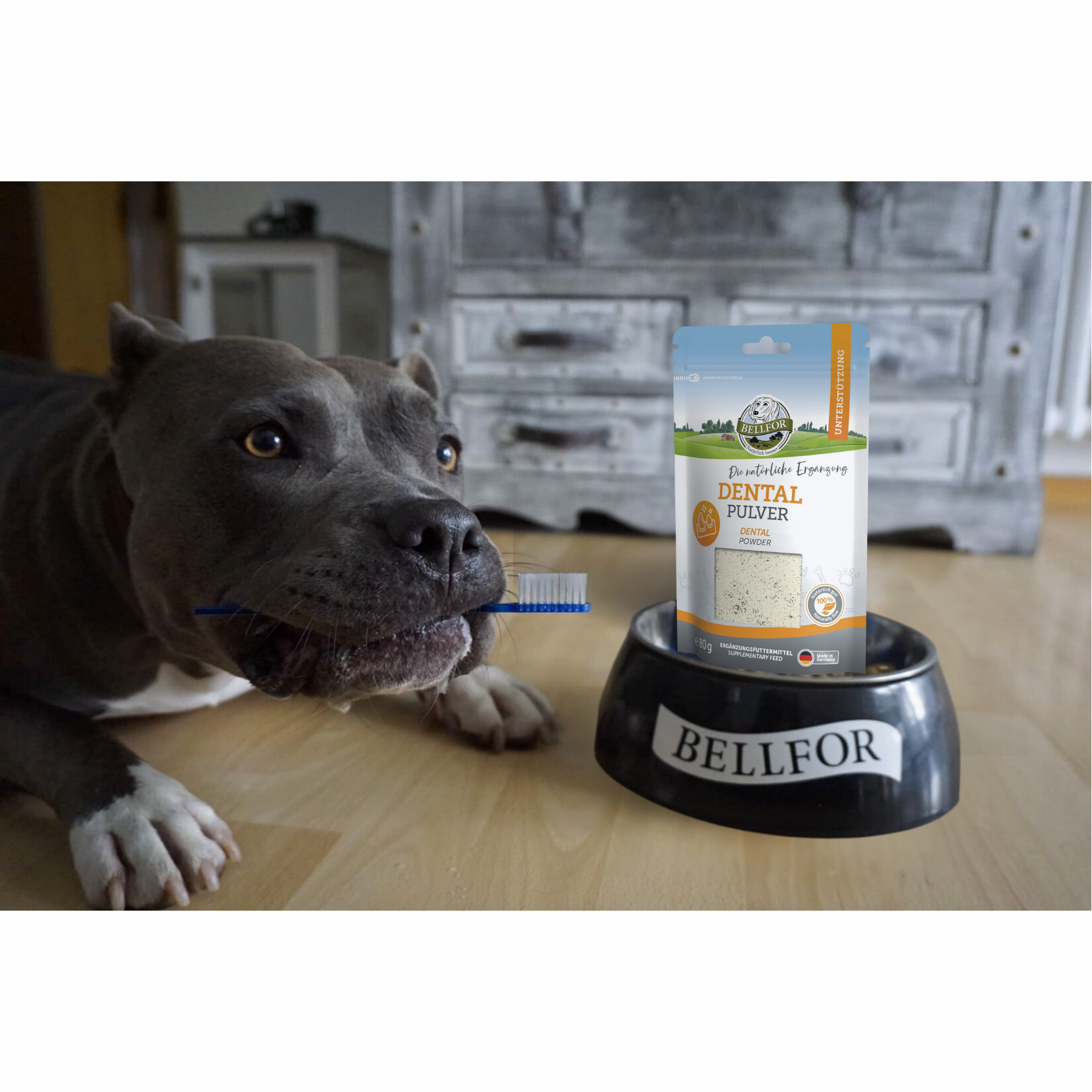 Dental Pulver für Hunde - 80 g