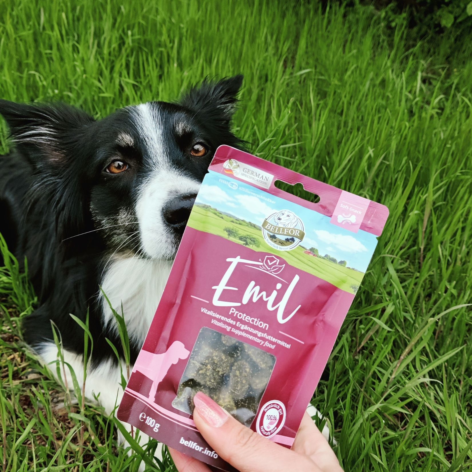 Emil Protection – Köstliche Hundesnacks mit Lachs für starke Abwehrkräfte 100 g / 60 Stücke