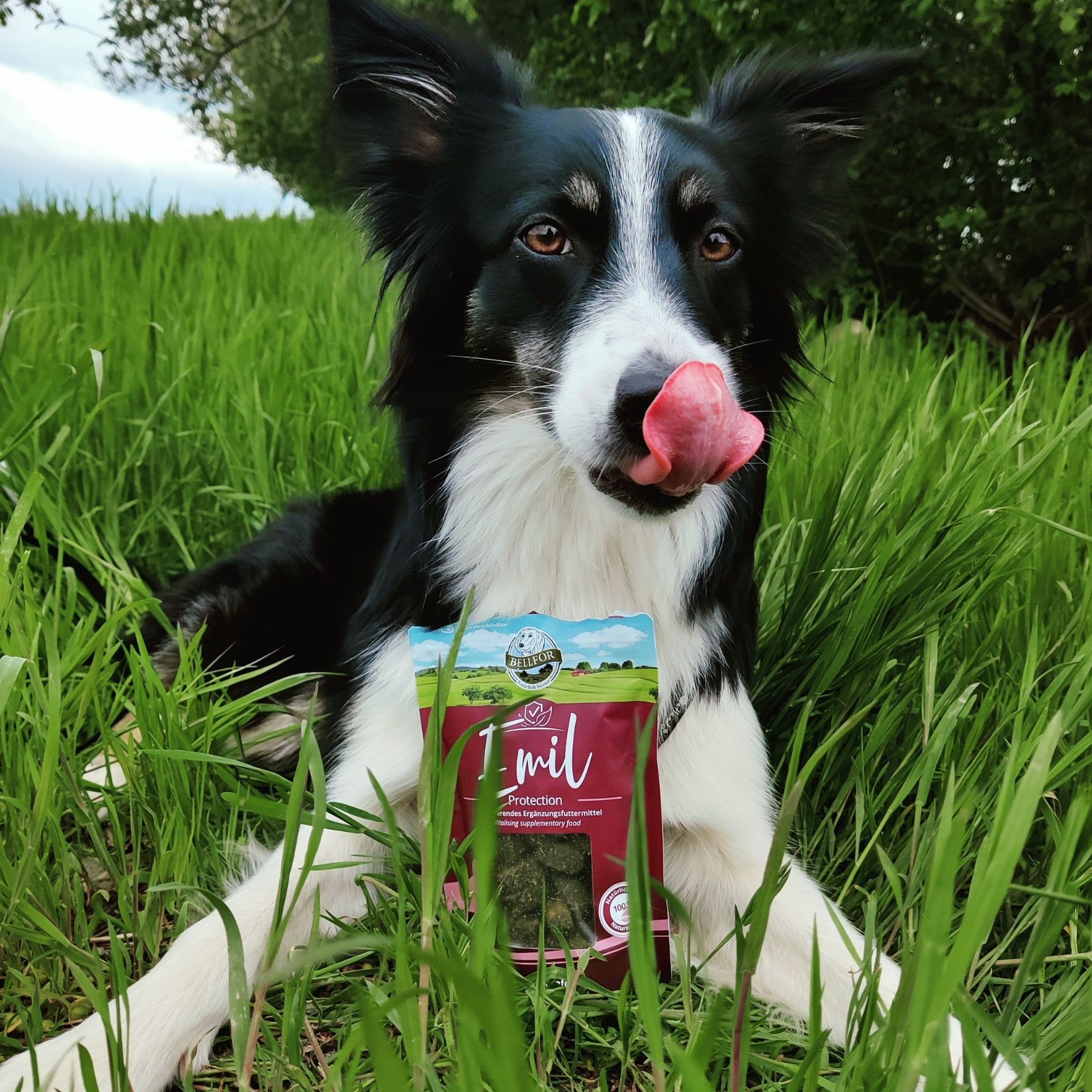 Emil Protection – Köstliche Hundesnacks mit Lachs für starke Abwehrkräfte 100 g / 60 Stücke