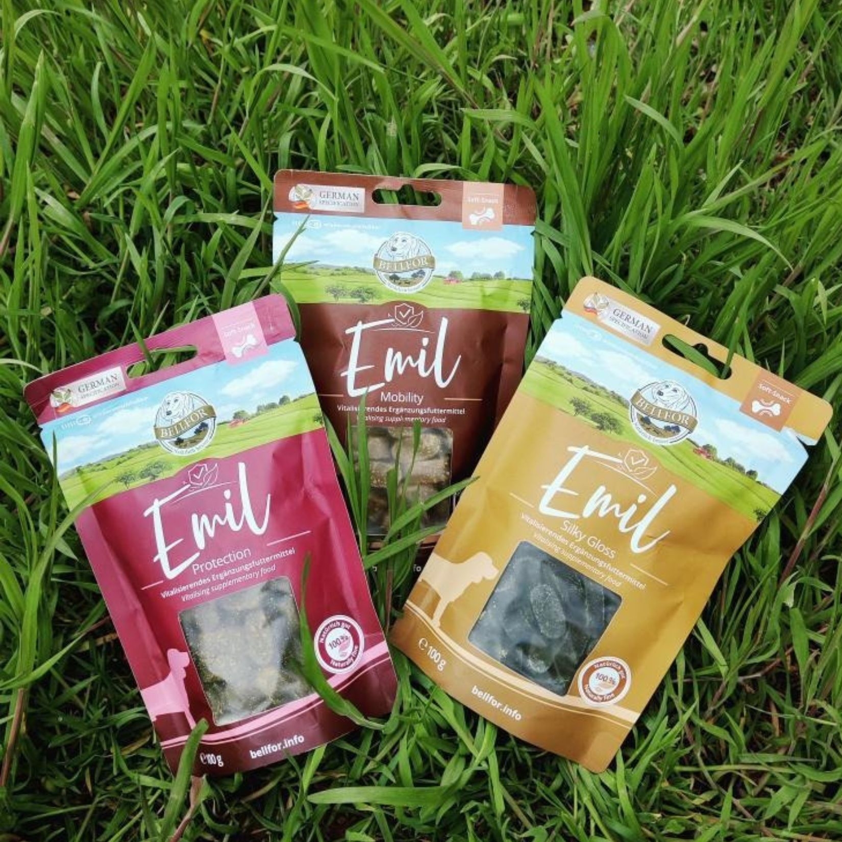 Emil Protection – Köstliche Hundesnacks mit Lachs für starke Abwehrkräfte 100 g / 60 Stücke
