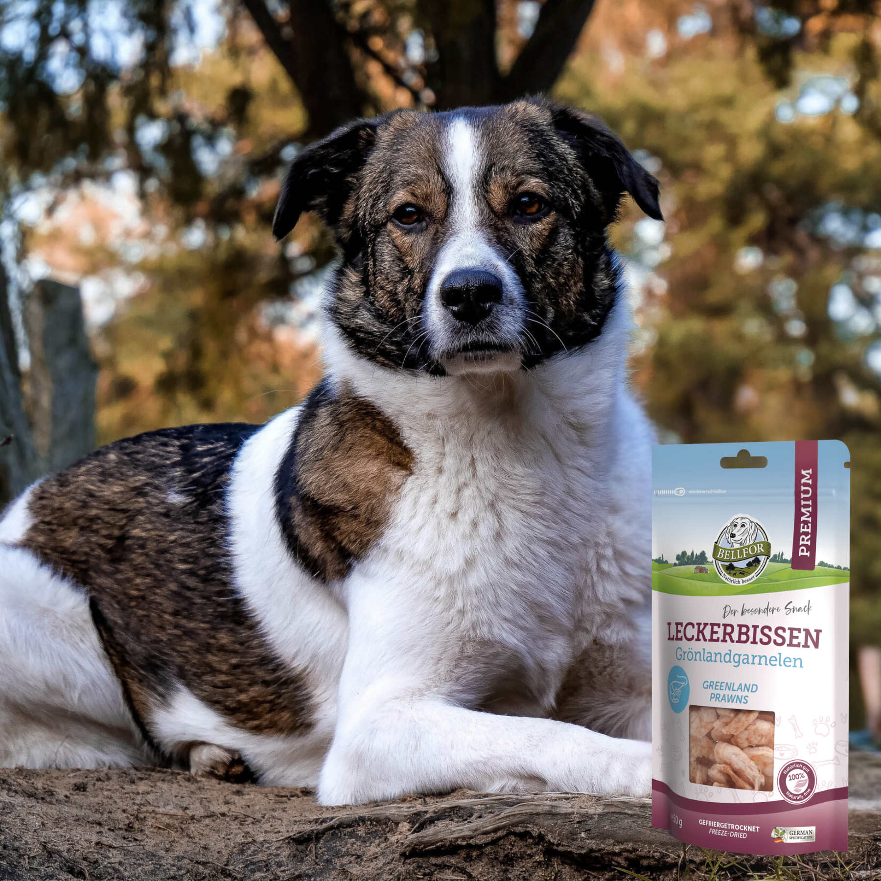 Leckerbissen für Hunde - Grönlandgarnelen (gefriergetrocknet) - 50 g