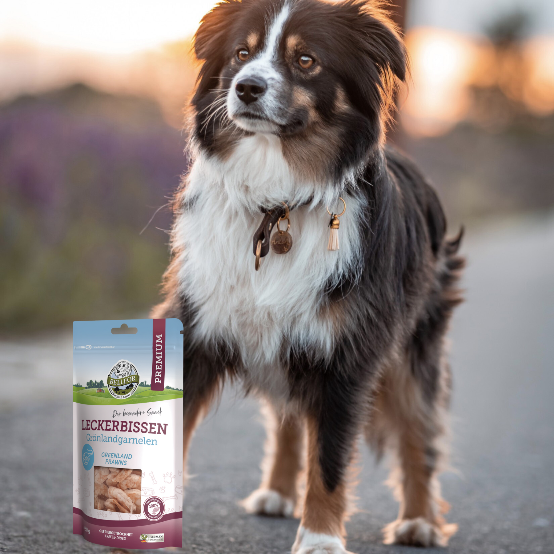 Leckerbissen für Hunde - Grönlandgarnelen (gefriergetrocknet) - 50 g