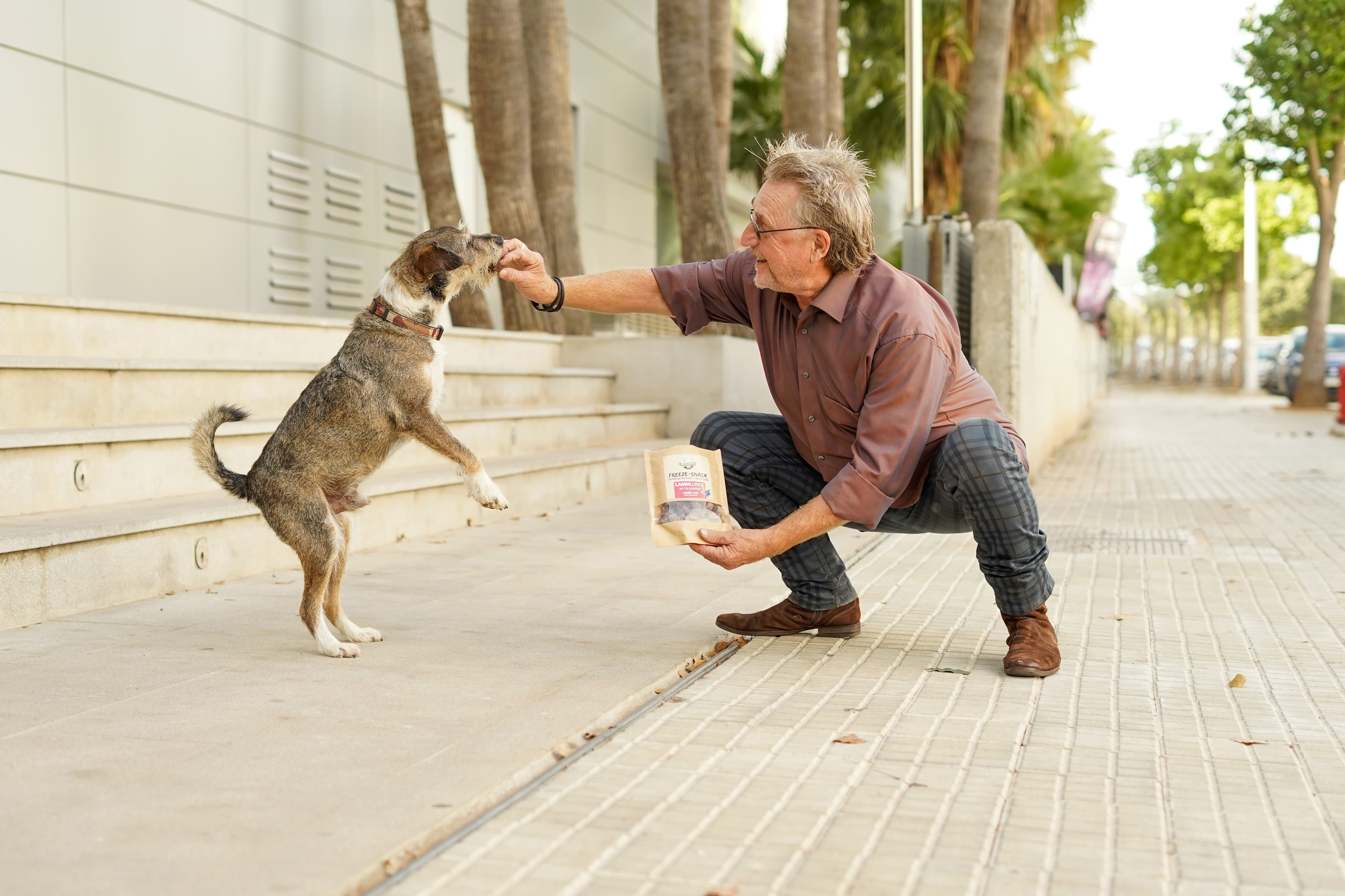 Freeze-Snack für Hunde - Lammlunge (gefriergetrocknet) - 50 g