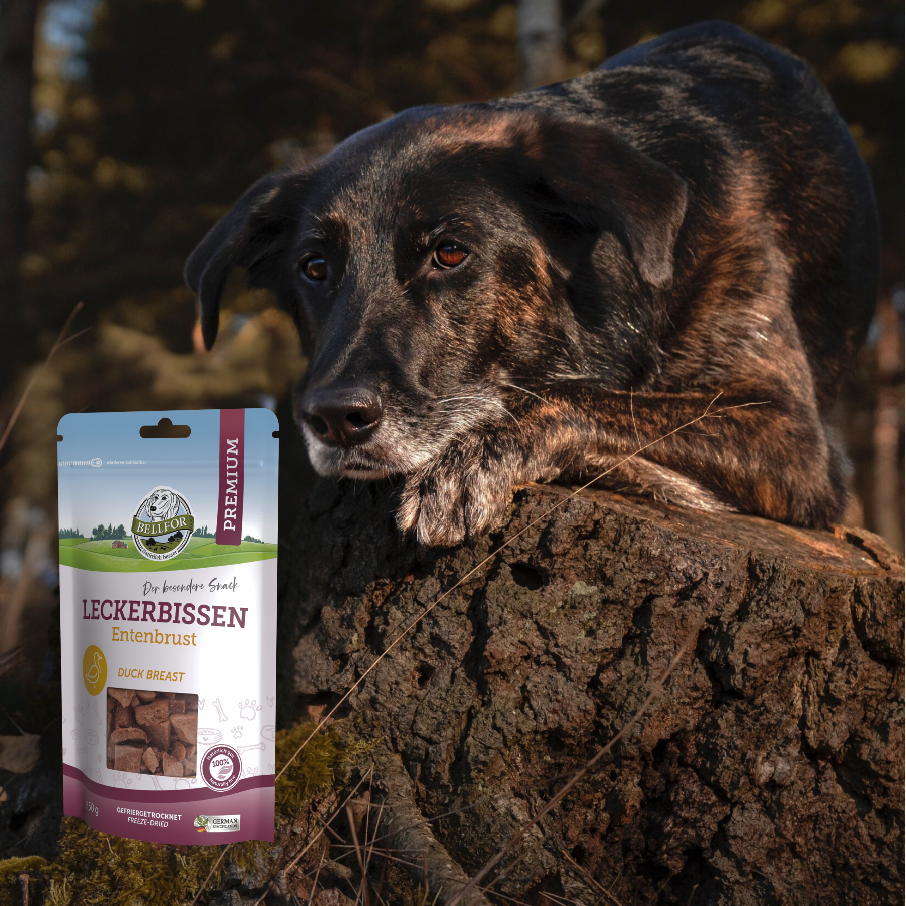 Leckerbissen für Hunde - Entenbrust (gefriergetrocknet) - 50 g