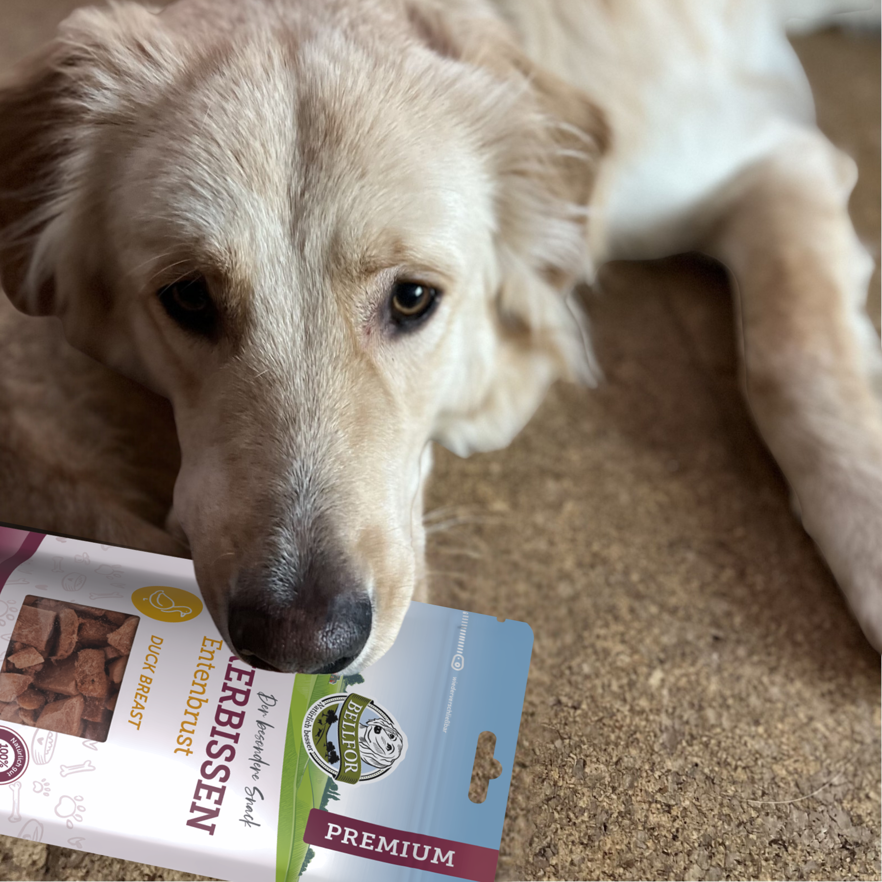 Leckerbissen für Hunde - Entenbrust (gefriergetrocknet) - 50 g