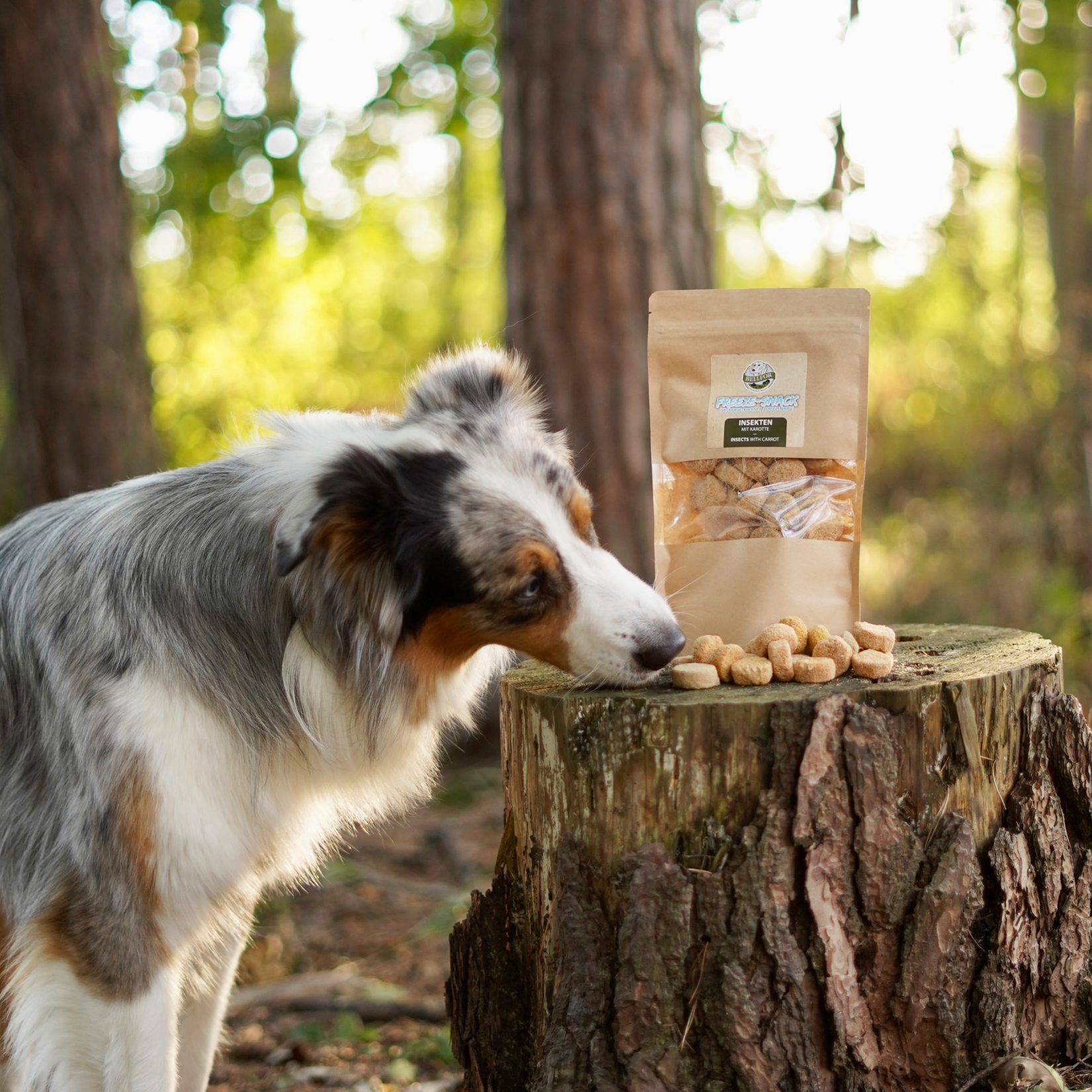 Freeze-Snack für Hunde - Insekten mit Karotte - 50 g 