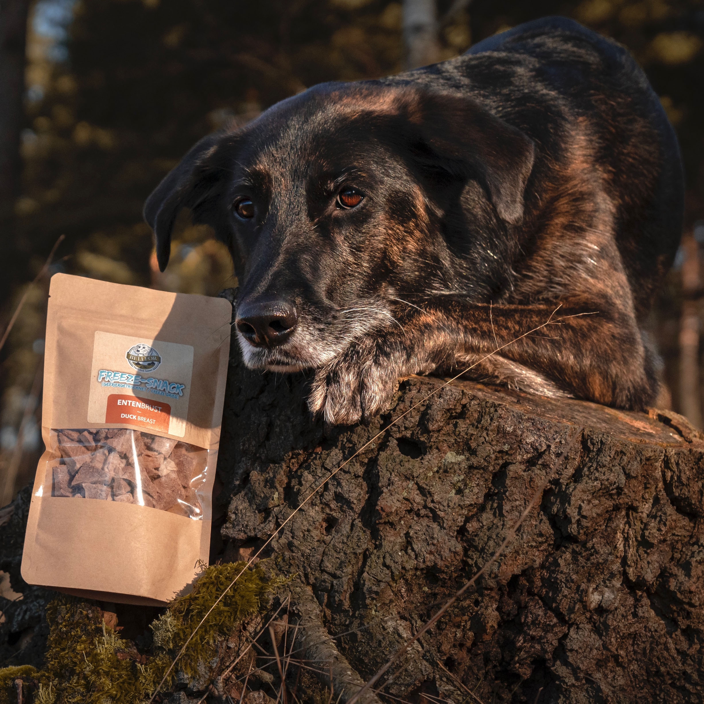 Freeze-Snack für Hunde - Entenbrust (gefriergetrocknet) - 50 g