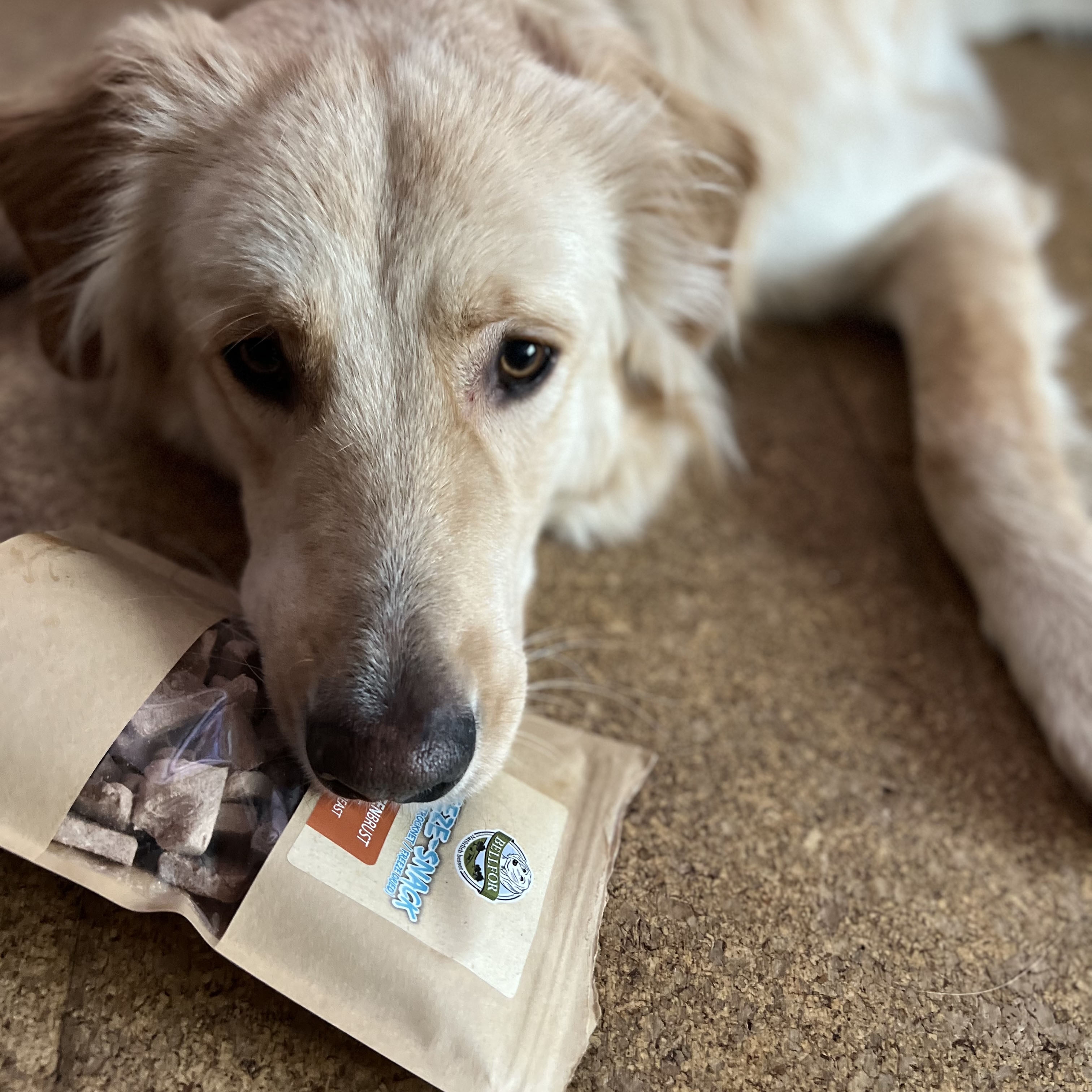 Freeze-Snack für Hunde - Entenbrust (gefriergetrocknet) - 50 g