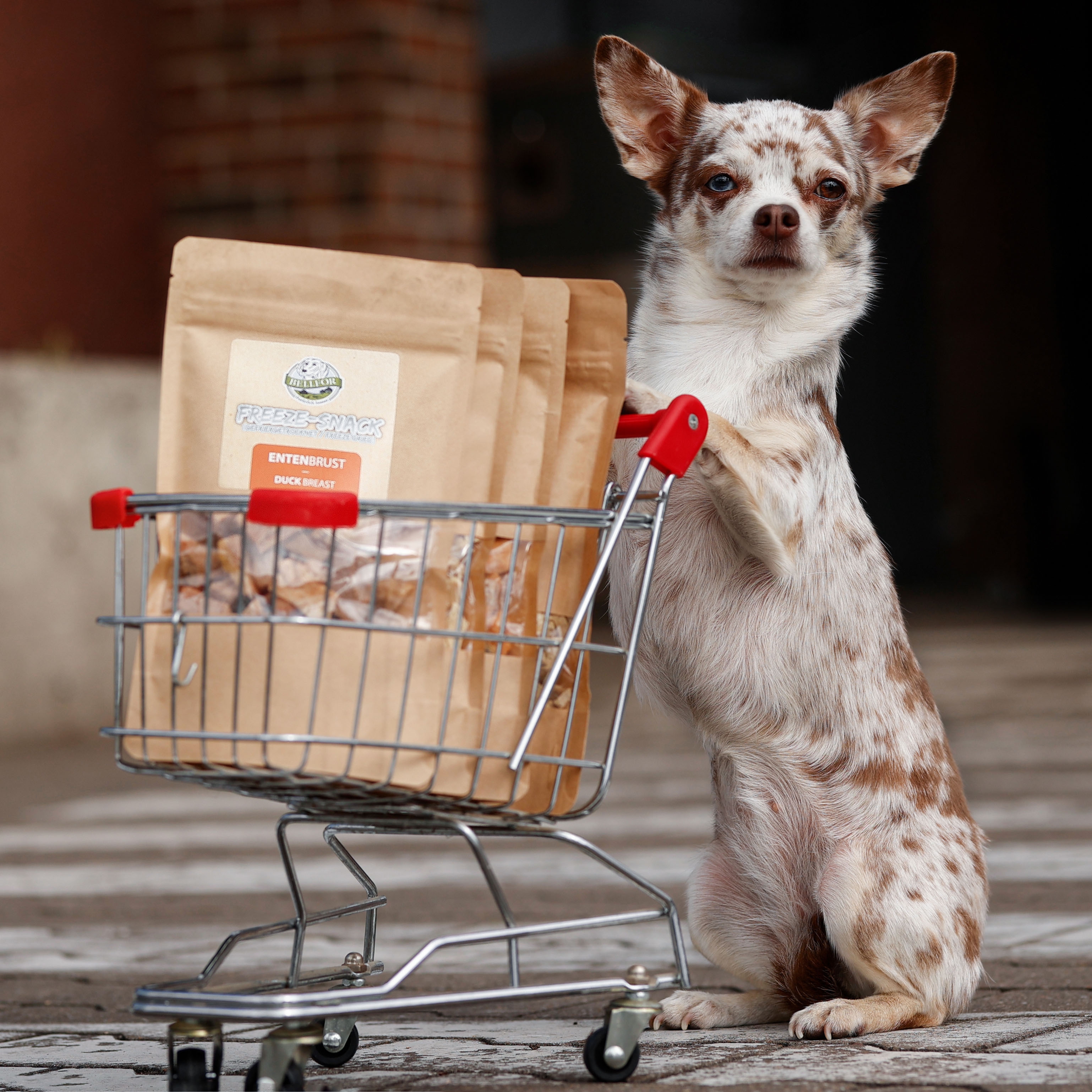 Freeze-Snack für Hunde - Entenbrust (gefriergetrocknet) - 50 g