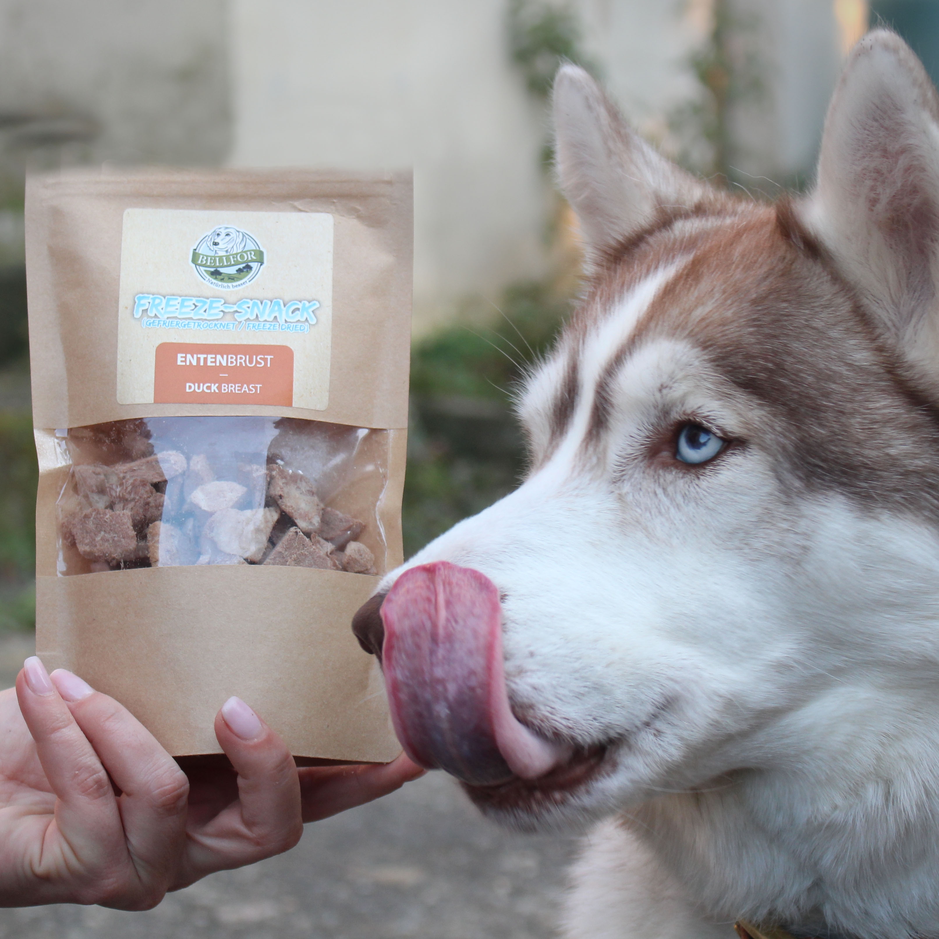 Freeze-Snack für Hunde - Entenbrust (gefriergetrocknet) - 50 g