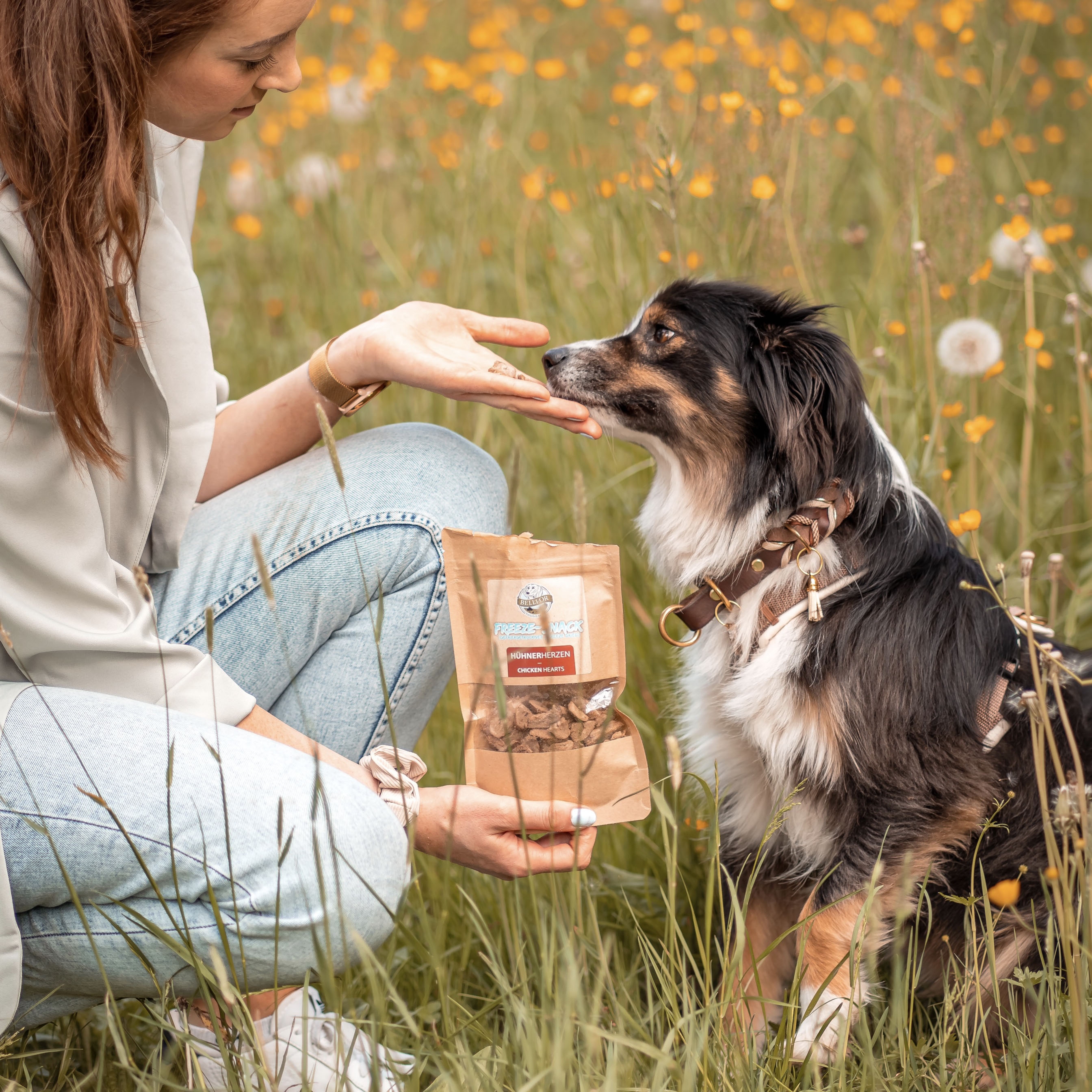 Freeze-Snack für Hunde - Hühnerherzen (gefriergetrocknet) - 50 g