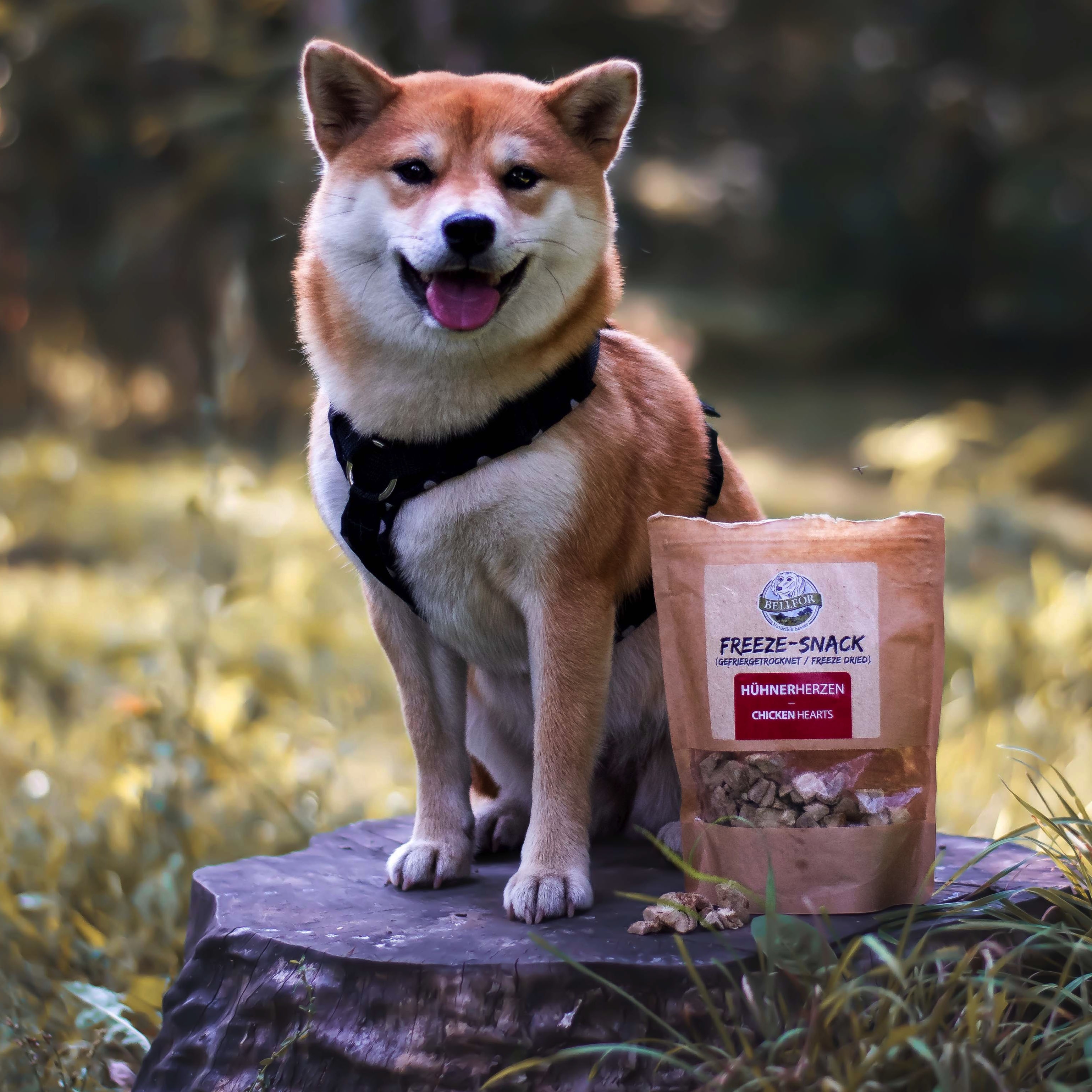 Freeze-Snack für Hunde - Hühnerherzen (gefriergetrocknet) - 50 g