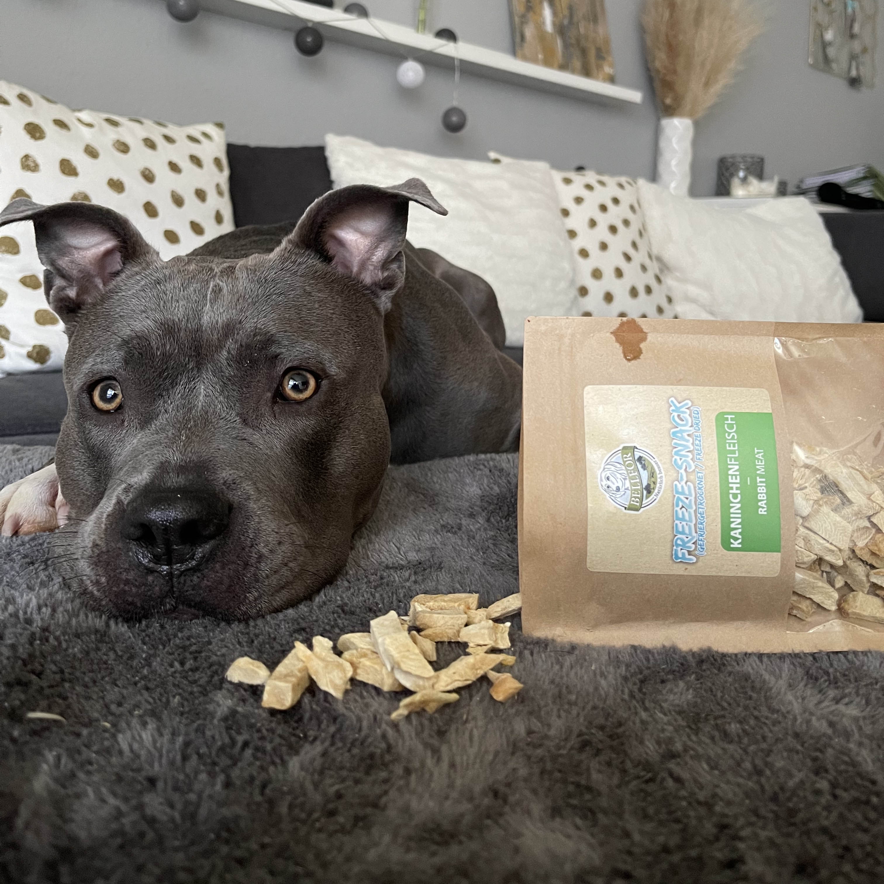 Freeze-Snack für Hunde - Kaninchenfleisch (gefriergetrocknet) - 50 g