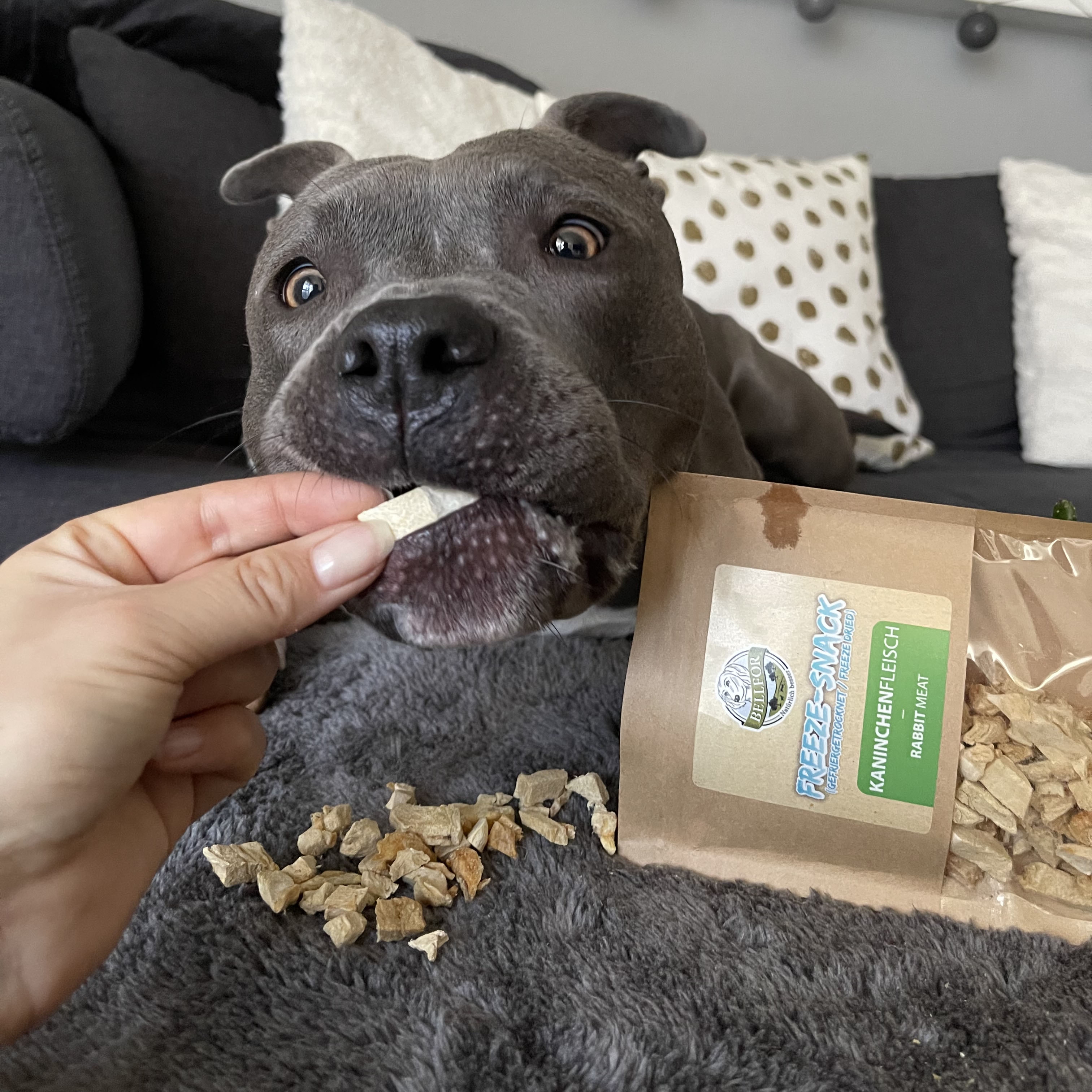 Freeze-Snack für Hunde - Kaninchenfleisch (gefriergetrocknet) - 50 g