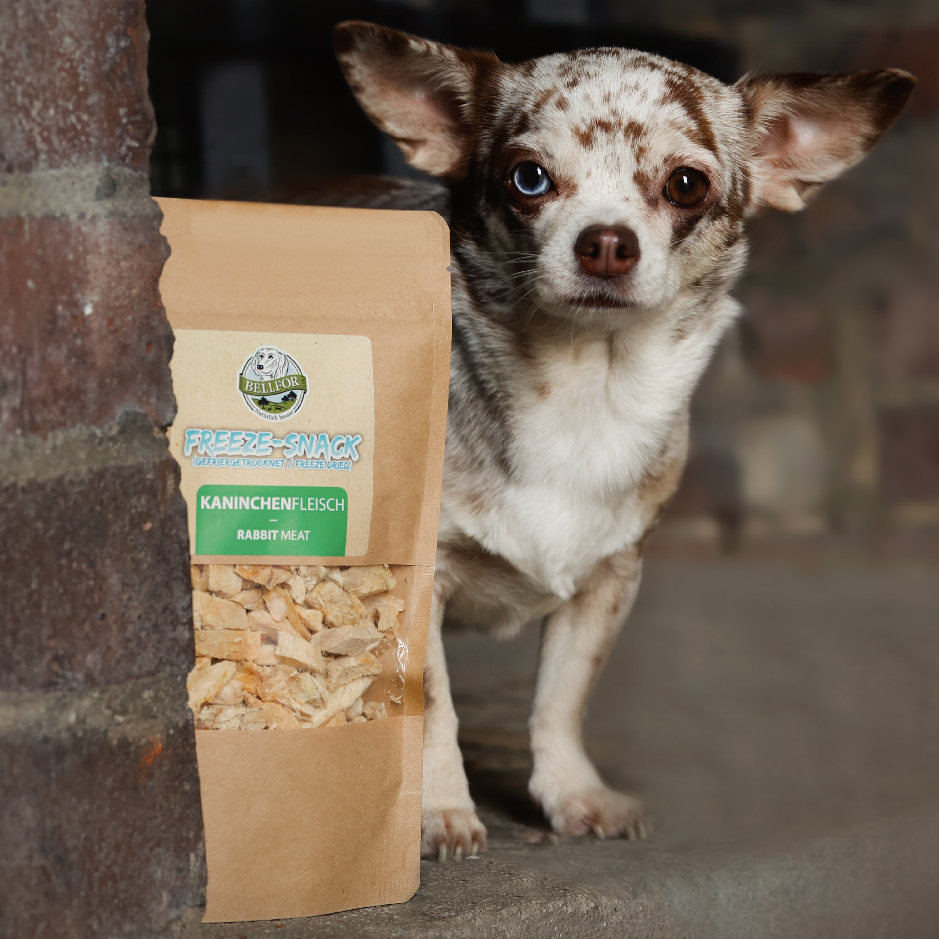 Freeze-Snack für Hunde - Kaninchenfleisch (gefriergetrocknet) - 50 g