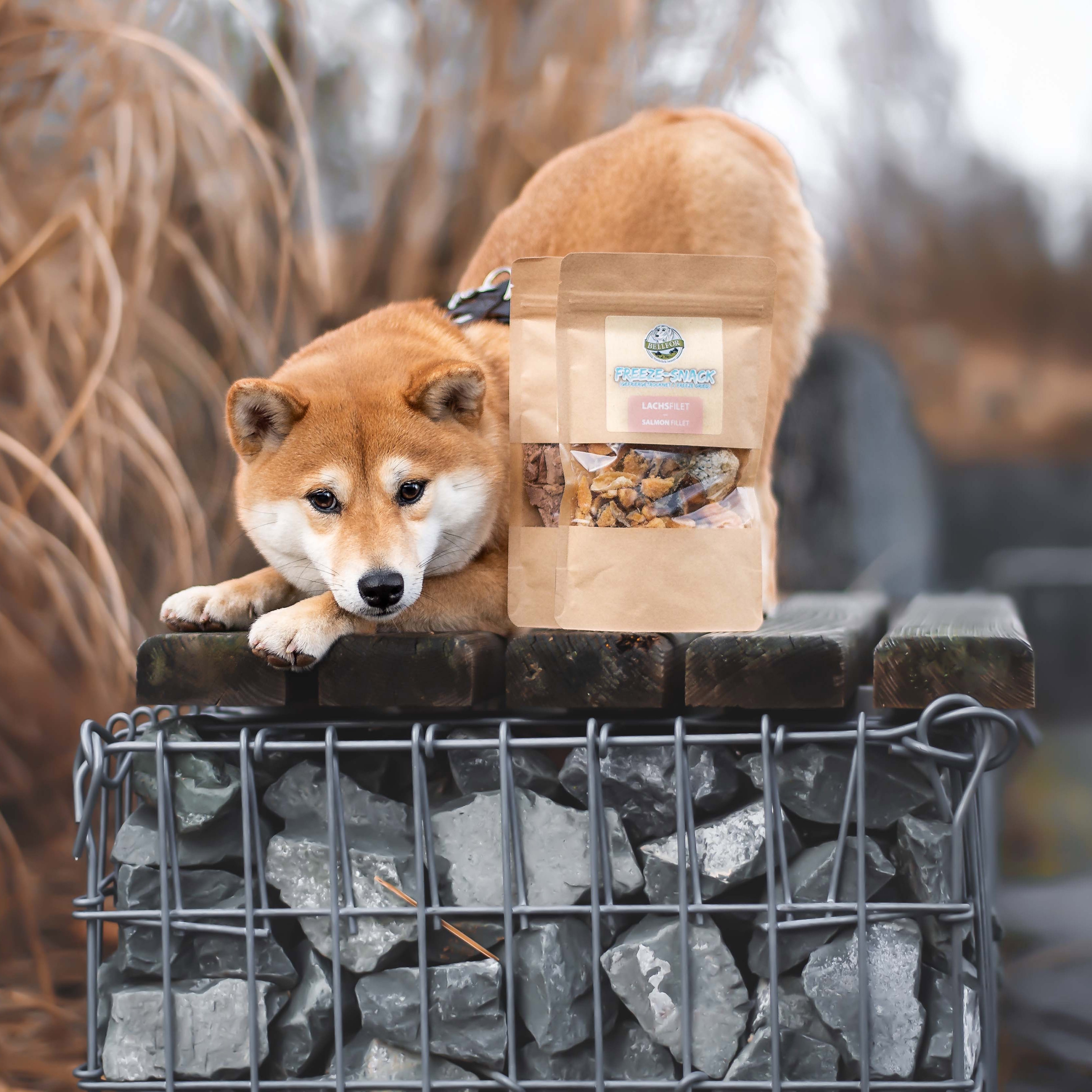 Freeze-Snack für Hunde - Lachsfilet (gefriergetrocknet) - 50 g