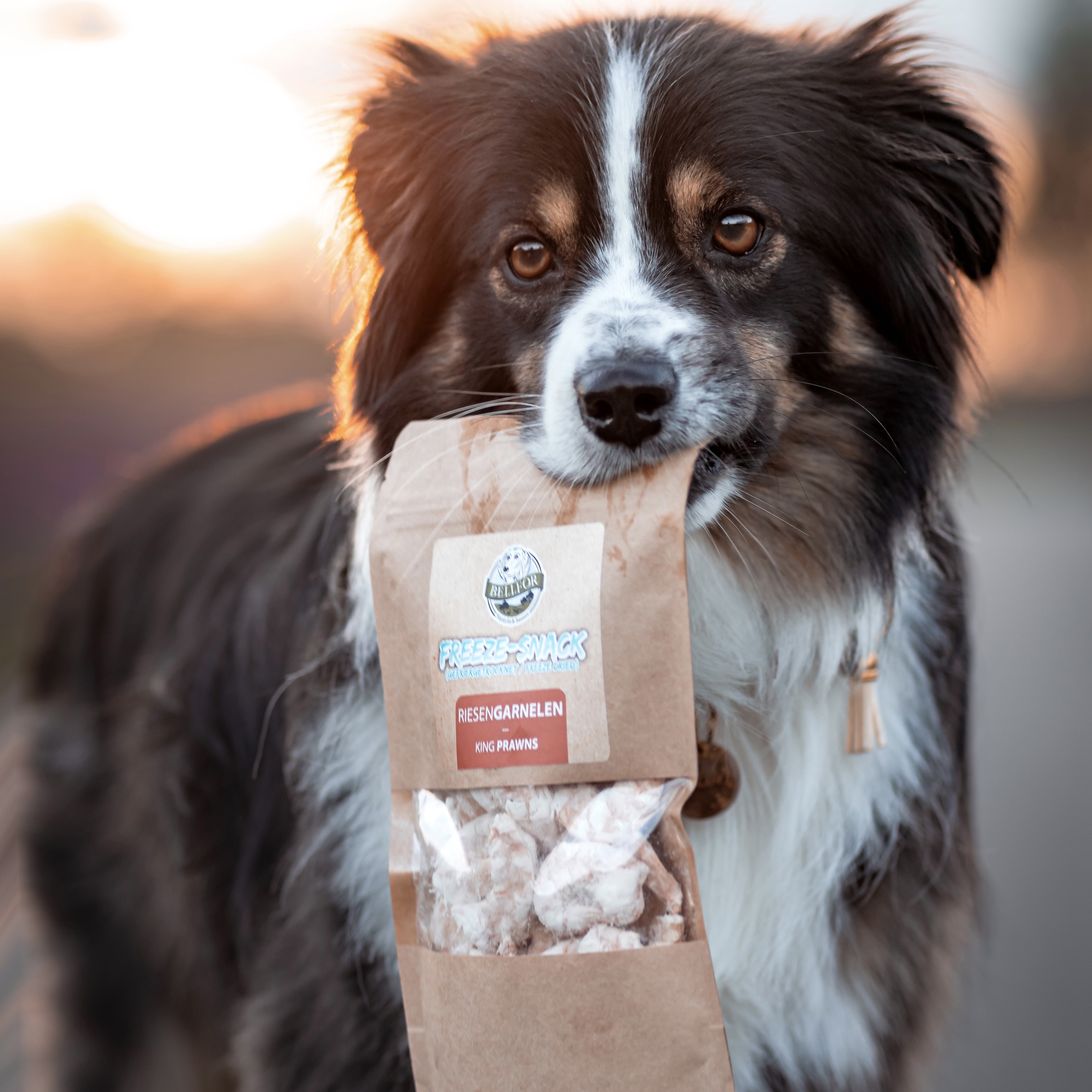 Freeze-Snack für Hunde - Riesengarnelen (gefriergetrocknet) - 35 g