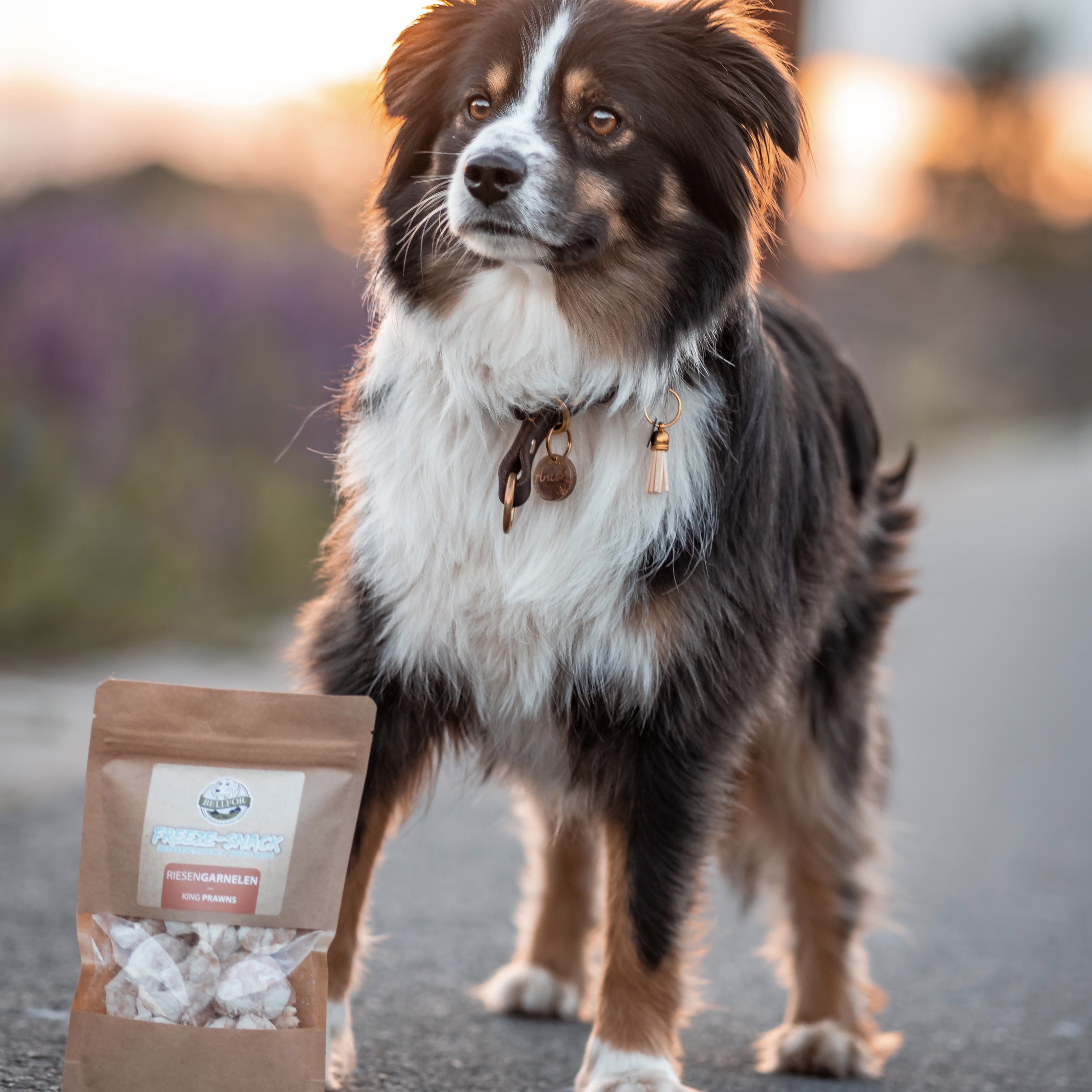 Freeze-Snack für Hunde - Riesengarnelen (gefriergetrocknet) - 35 g
