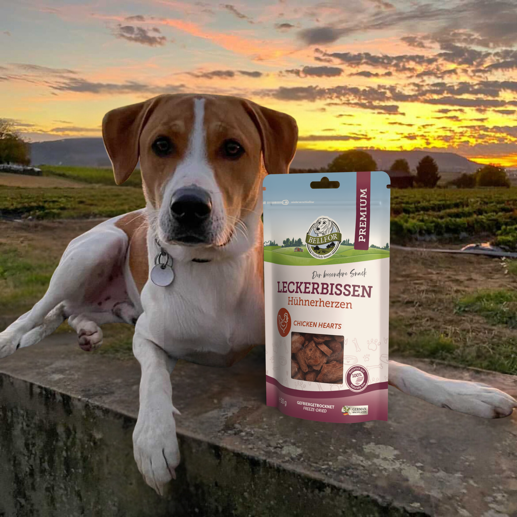 Leckerbissen für Hunde - Hühnerherzen (gefriergetrocknet) - 50 g