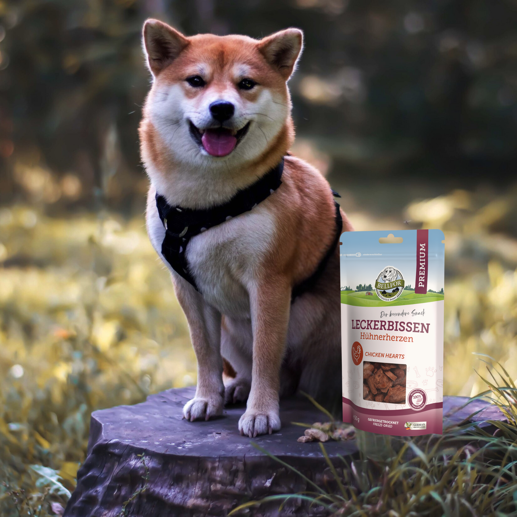Leckerbissen für Hunde - Hühnerherzen (gefriergetrocknet) - 50 g