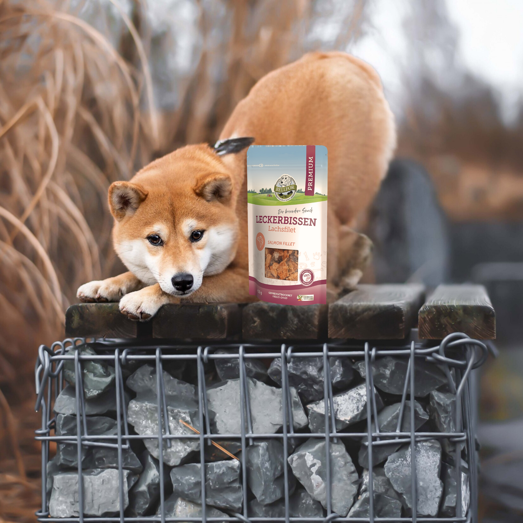 Leckerbissen für Hunde - Lachsfilet (gefriergetrocknet) - 50 g