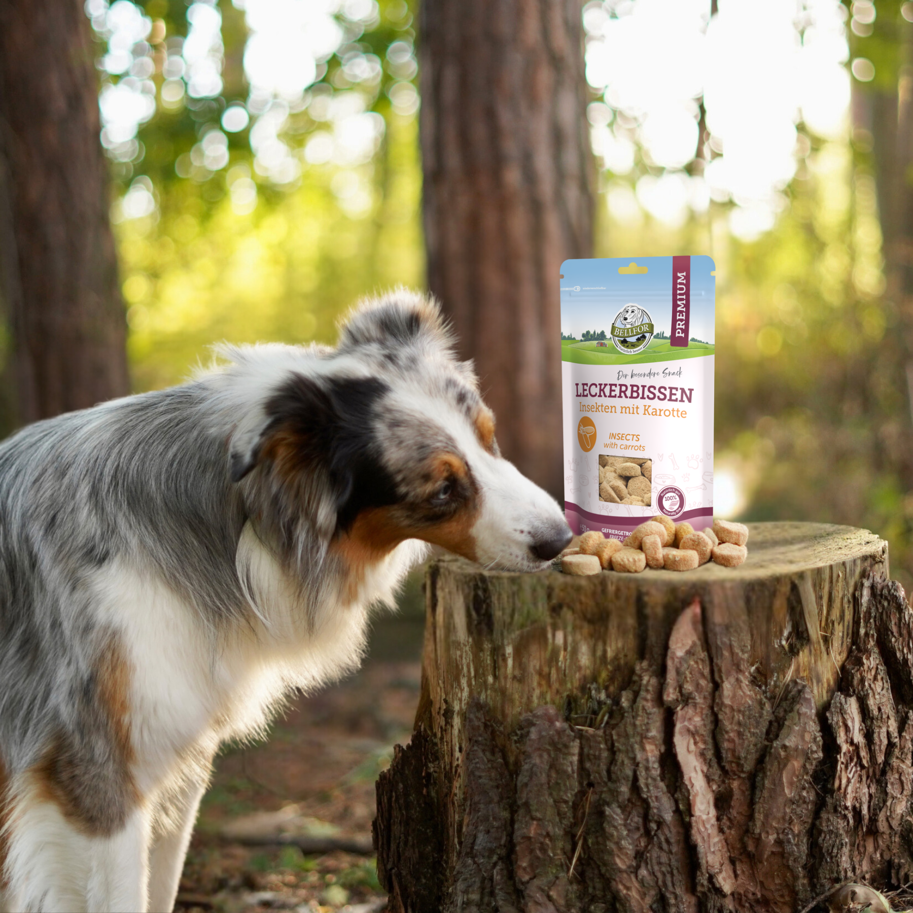Leckerbissen für Hunde - Insekten mit Karotte - 50 g