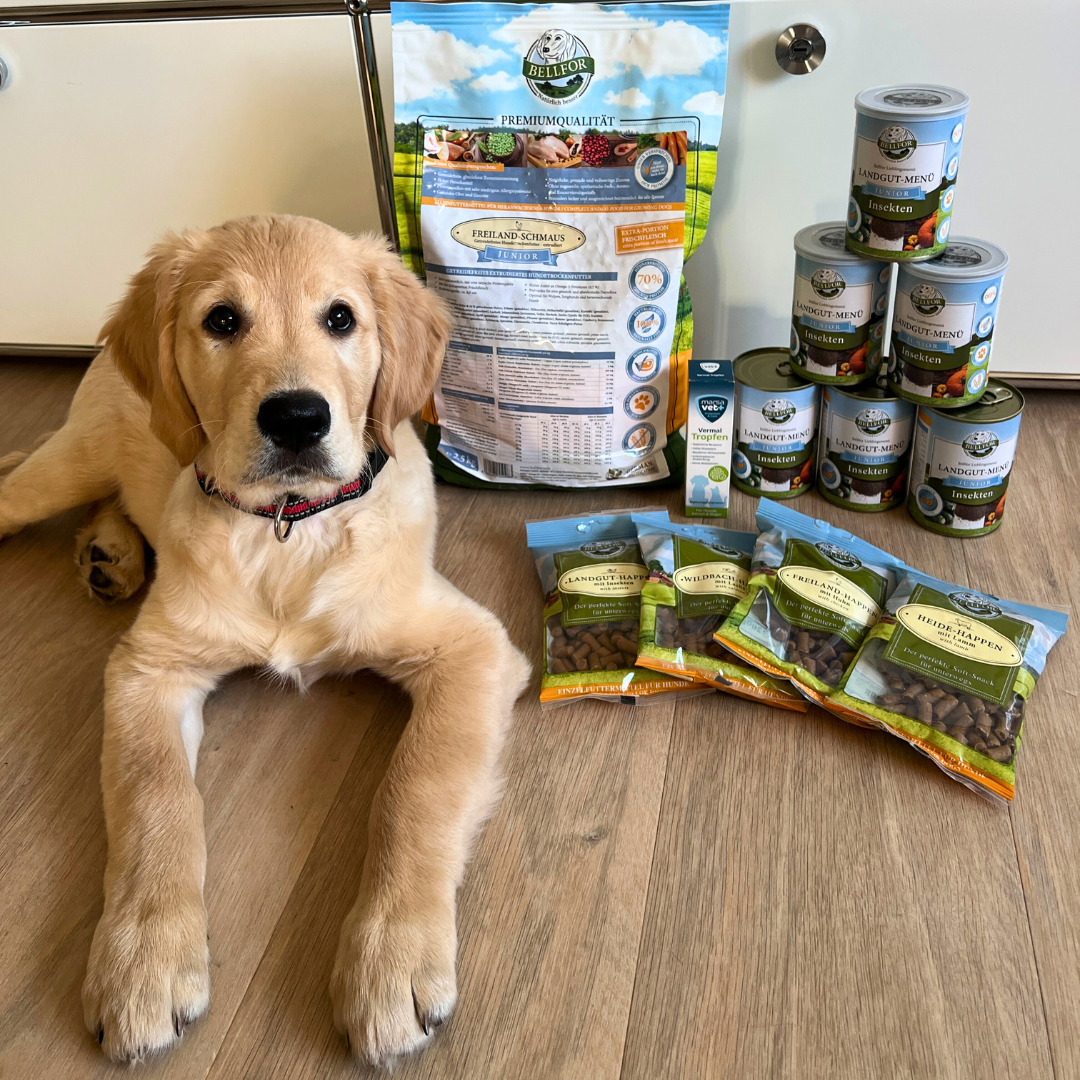 Hypoallergenes Hundefutter Nass mit Insekten für Welpen - Landgut-Menü Junior - 6 x 400 g