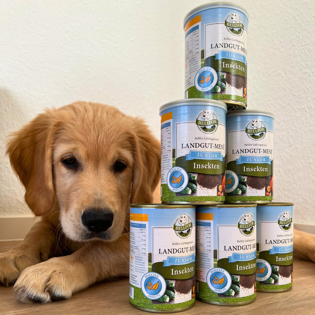 Hypoallergenes Hundefutter Nass mit Insekten für Welpen - Landgut-Menü Junior - 6 x 400 g