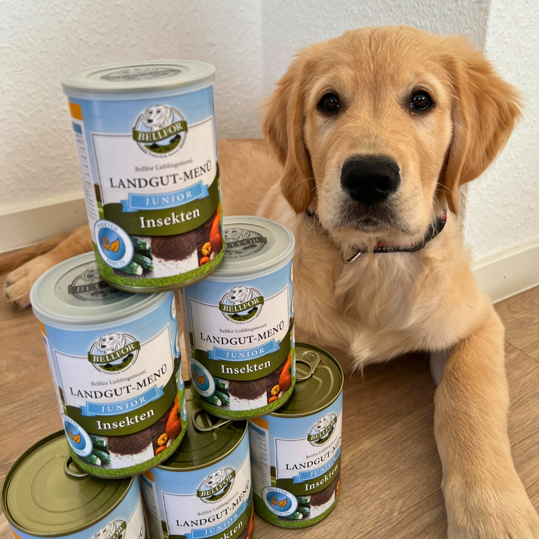 Hypoallergenes Hundefutter Nass mit Insekten für Welpen - Landgut-Menü Junior - 400 g