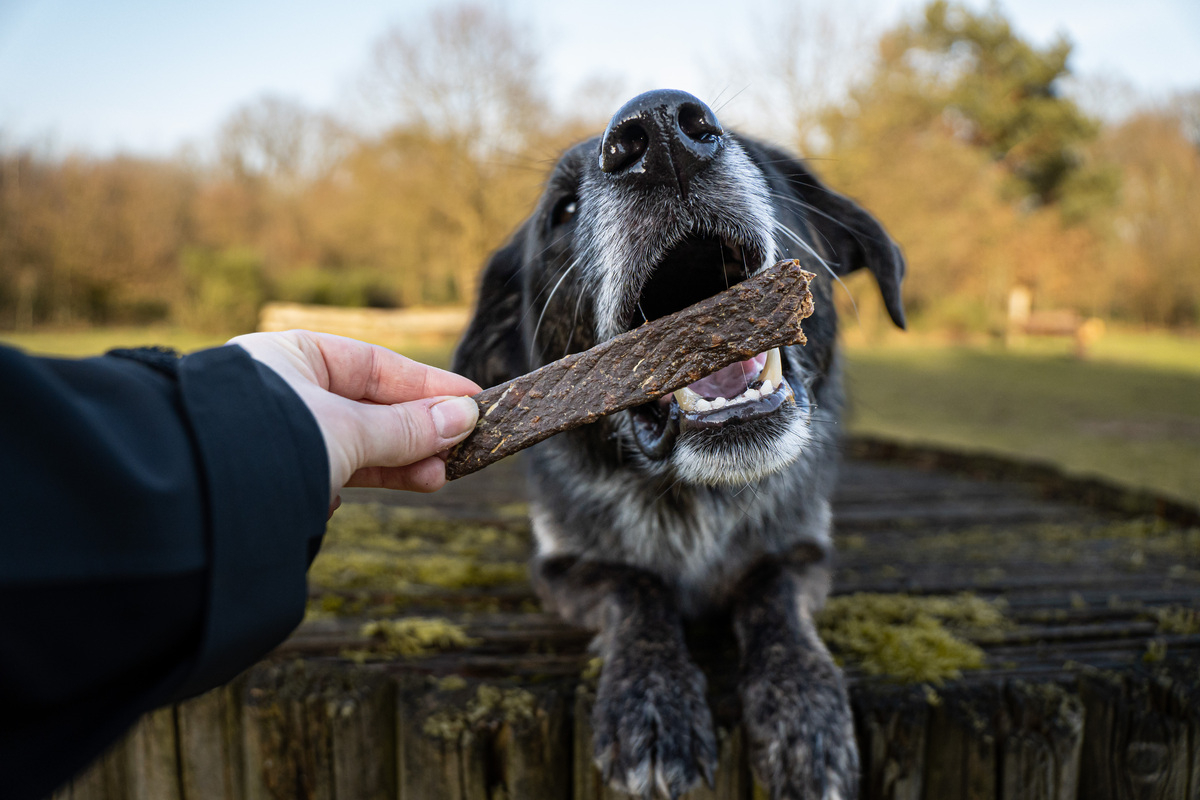 Hundesnack - Fleischstreifen Lamm - 100 g