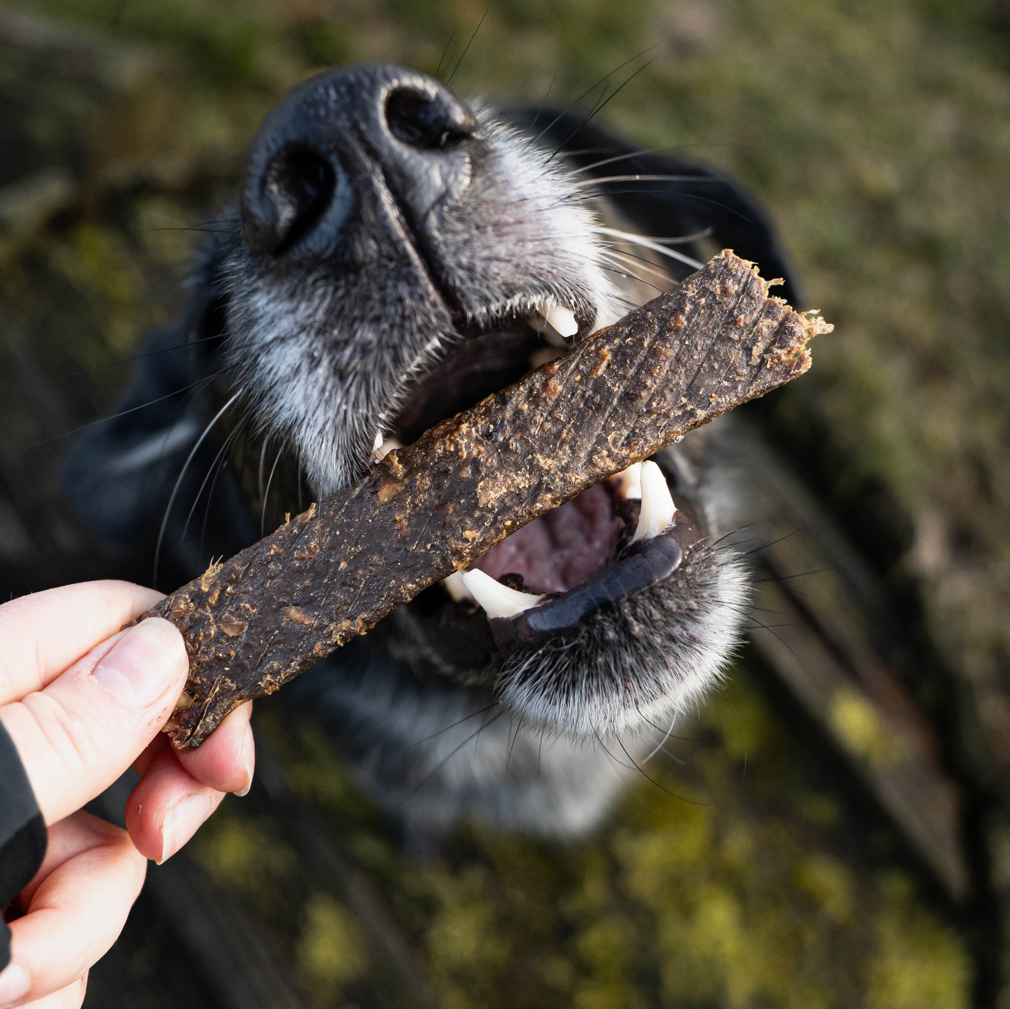 Hundesnack - Fleischstreifen Ziege - 100 g
