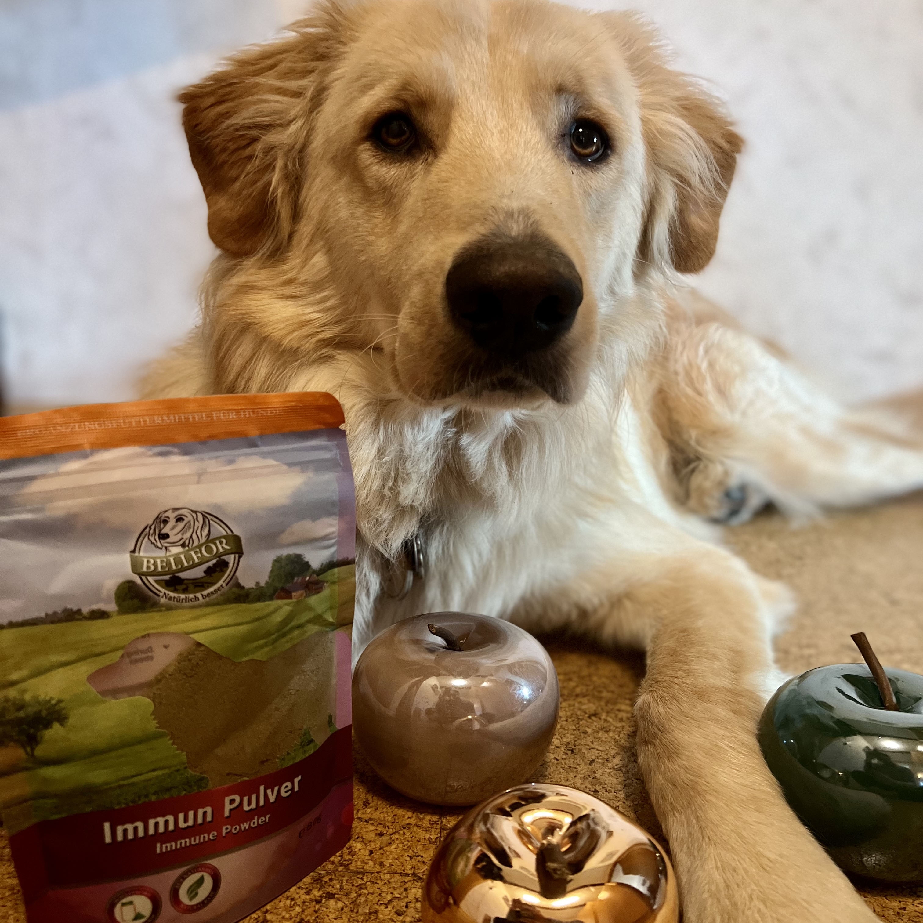 Immun - Pulver - 250 g