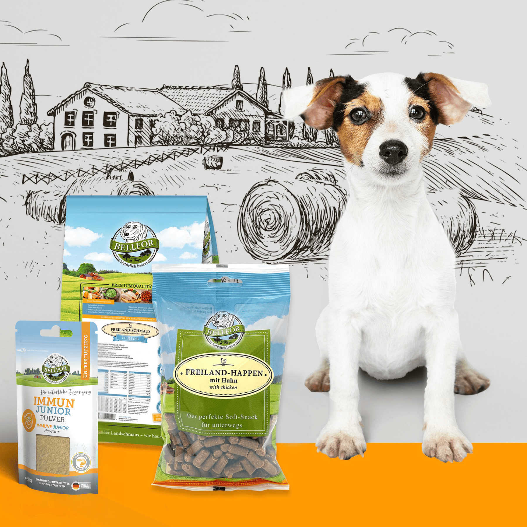 Welpenfutter Set für kleine Rassen: getreidefreie Trockenfutter + gesunde Soft-snack + Immun Pulver für Welpen