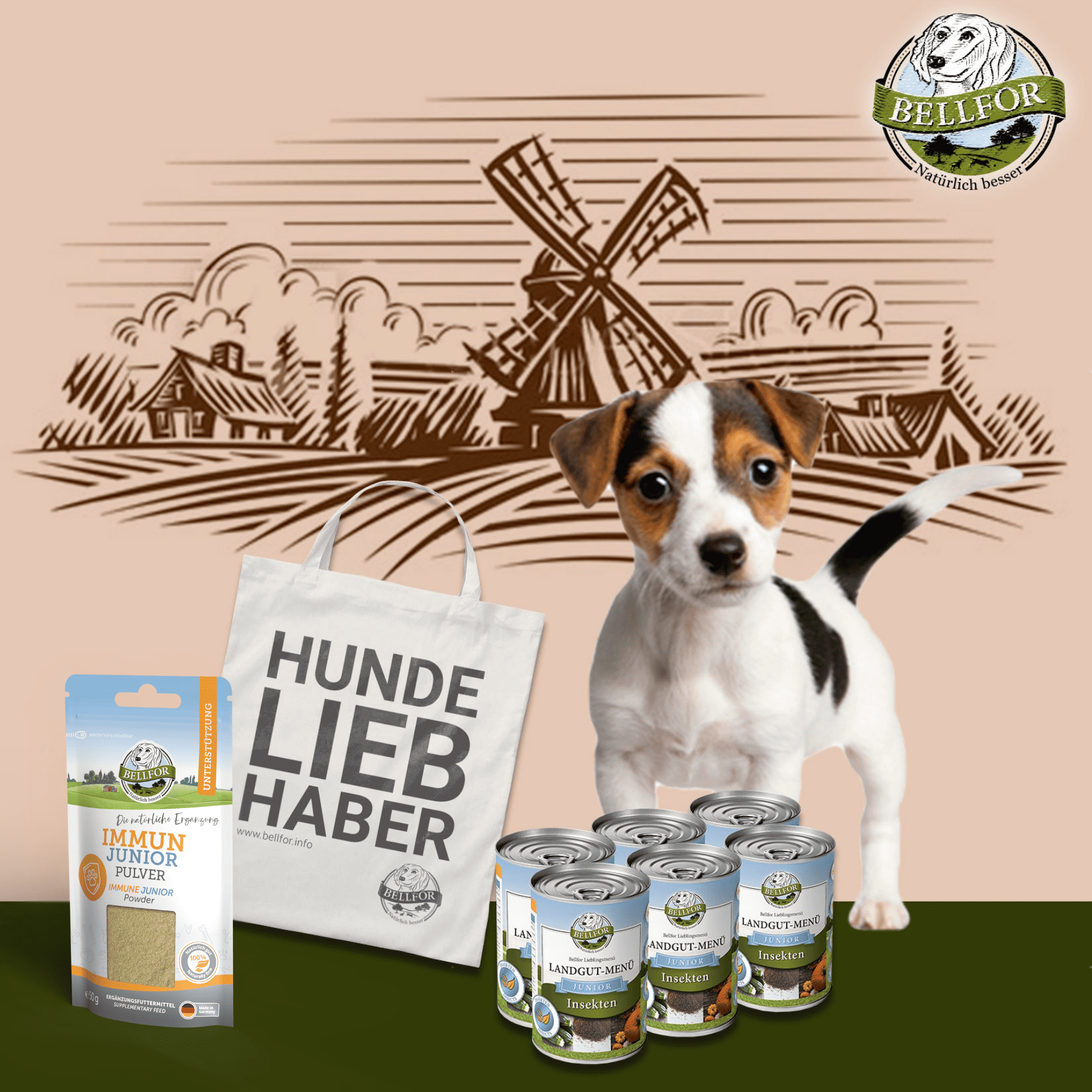 Welpenfutter im Sparset - Landgut-Menü Junior 6 x 400 g + Immun Junior 50 g + 1 Jutebeutel