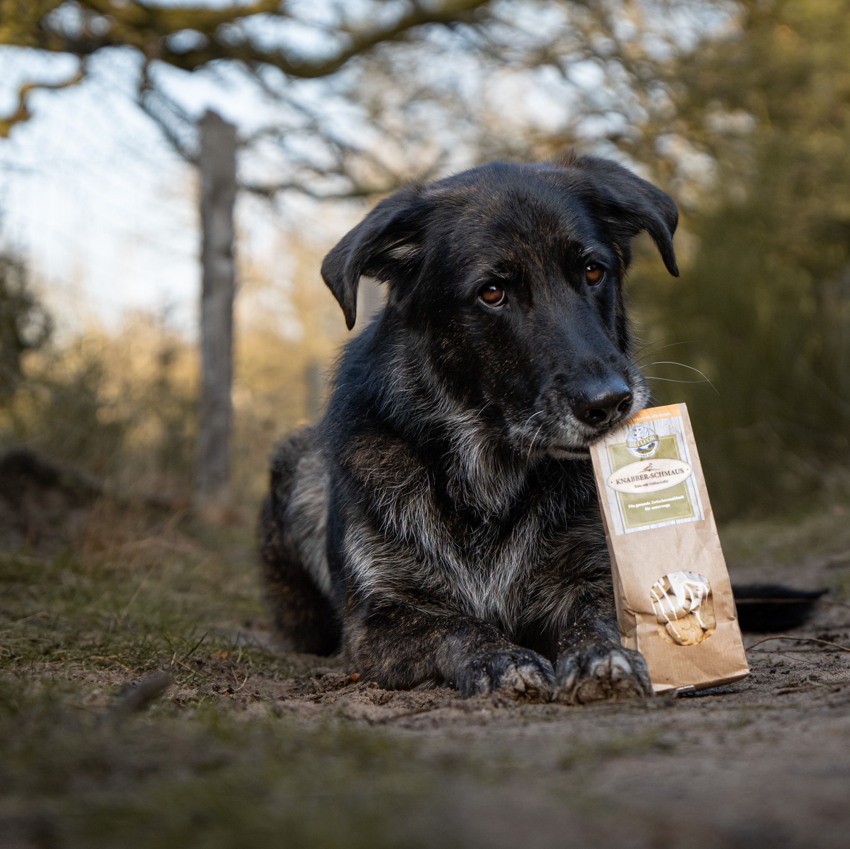 Hundekekse mit frischem Hühnerfleisch - Knabber-Schmaus - 100 g