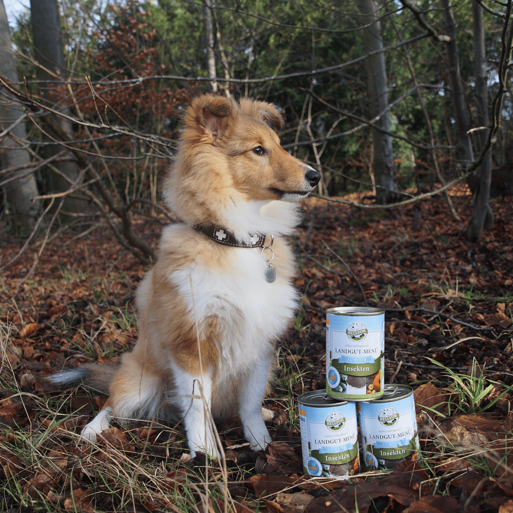 Welpenfutter im Sparset - Landgut-Menü Junior 6 x 400 g + Immun Junior 50 g + 1 Jutebeutel