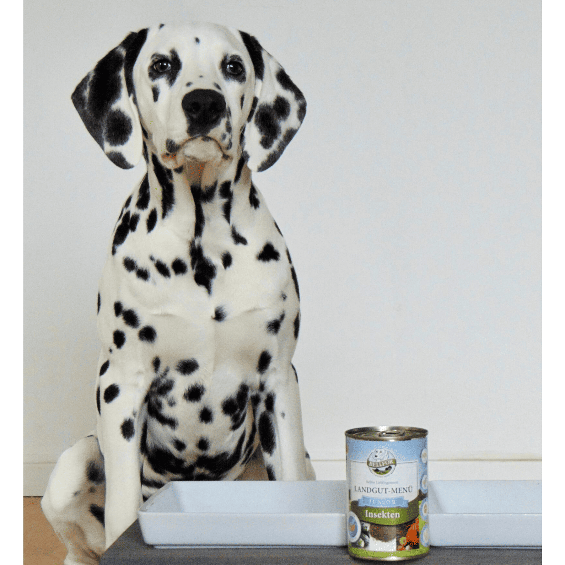 Hypoallergenes Hundefutter Nass mit Insekten für Welpen - Landgut-Menü Junior - 400 g