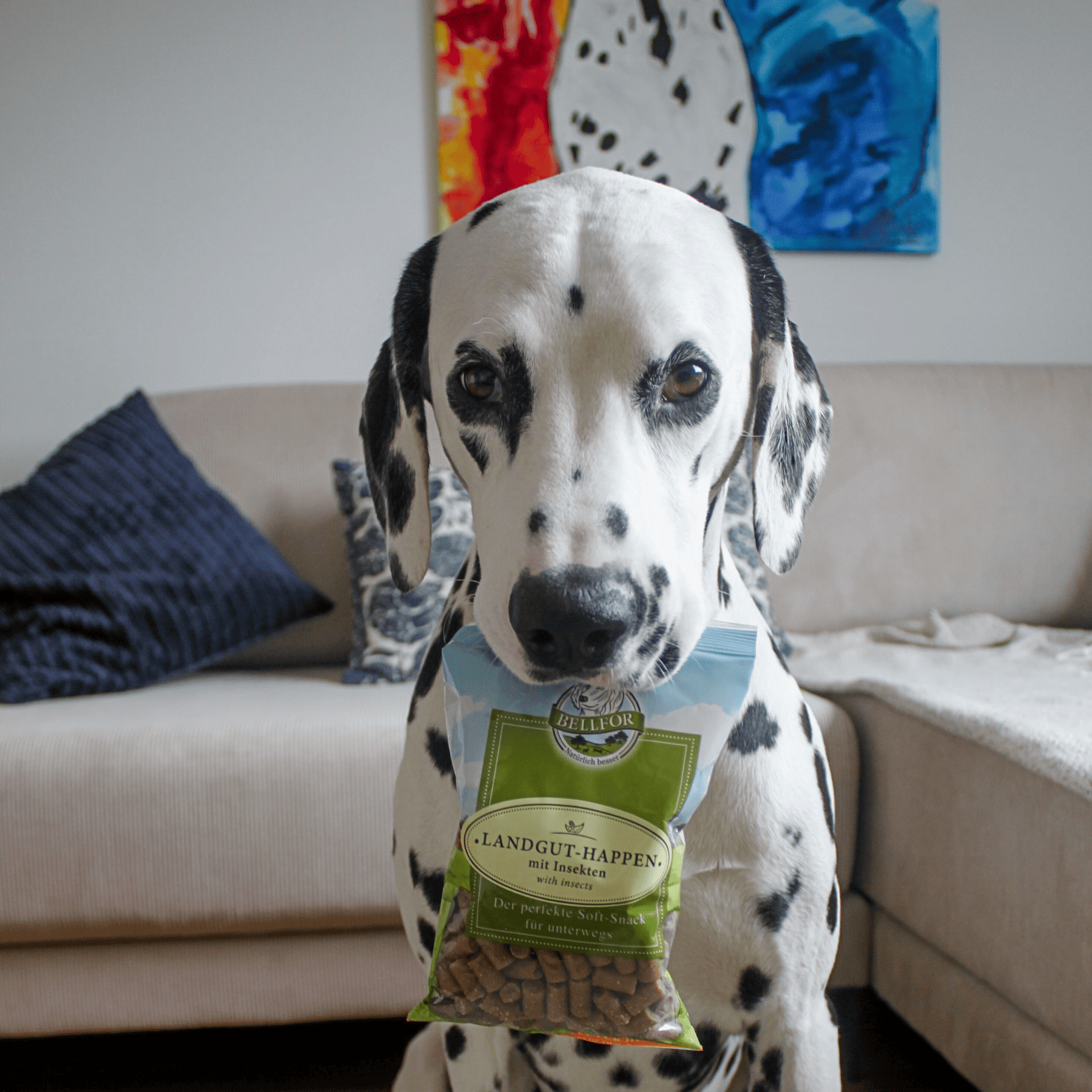 Hypoallergener Soft-Snack mit Insekten - Landgut-Happen - 200 g