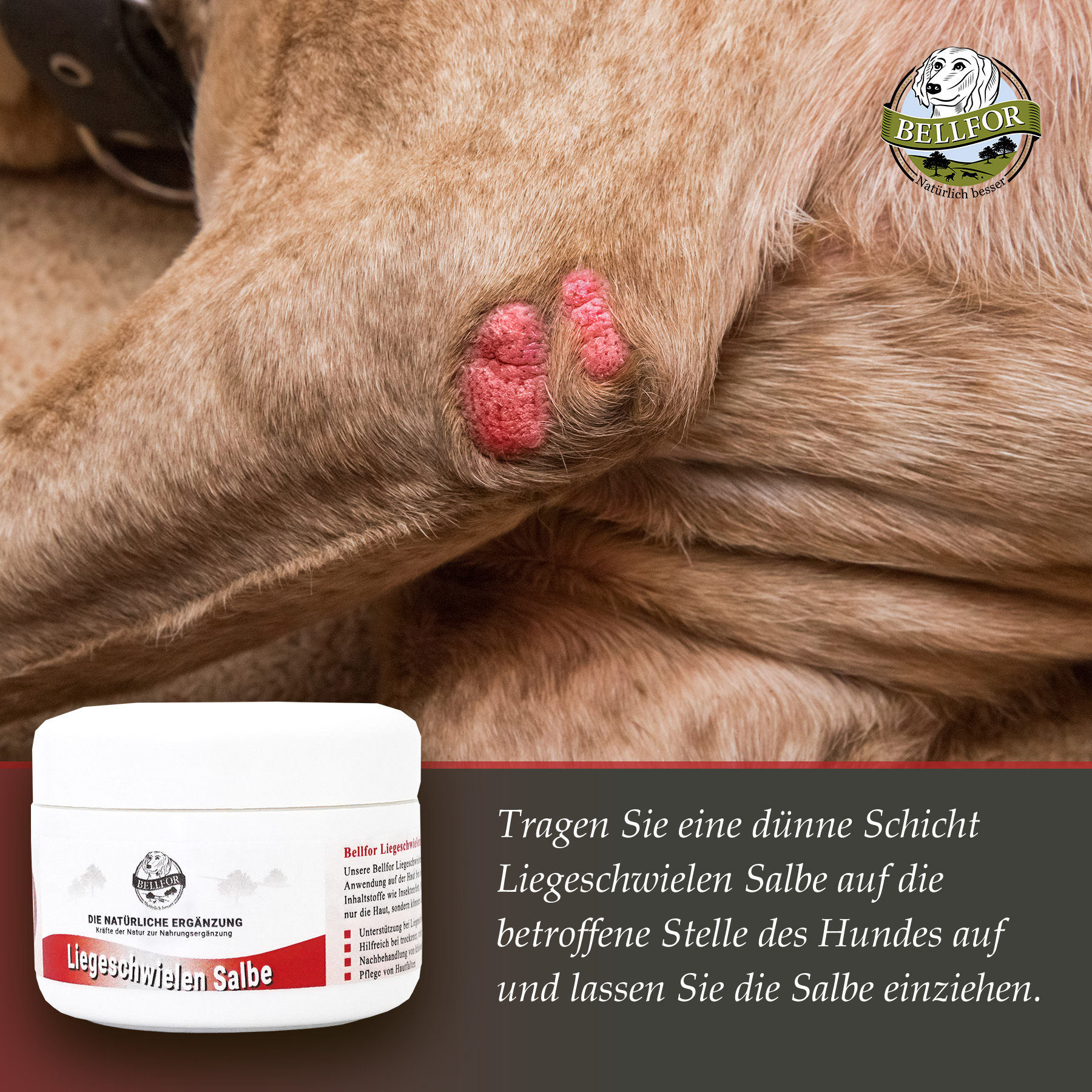 Liegeschwielen Salbe für Hunde - 30 ml