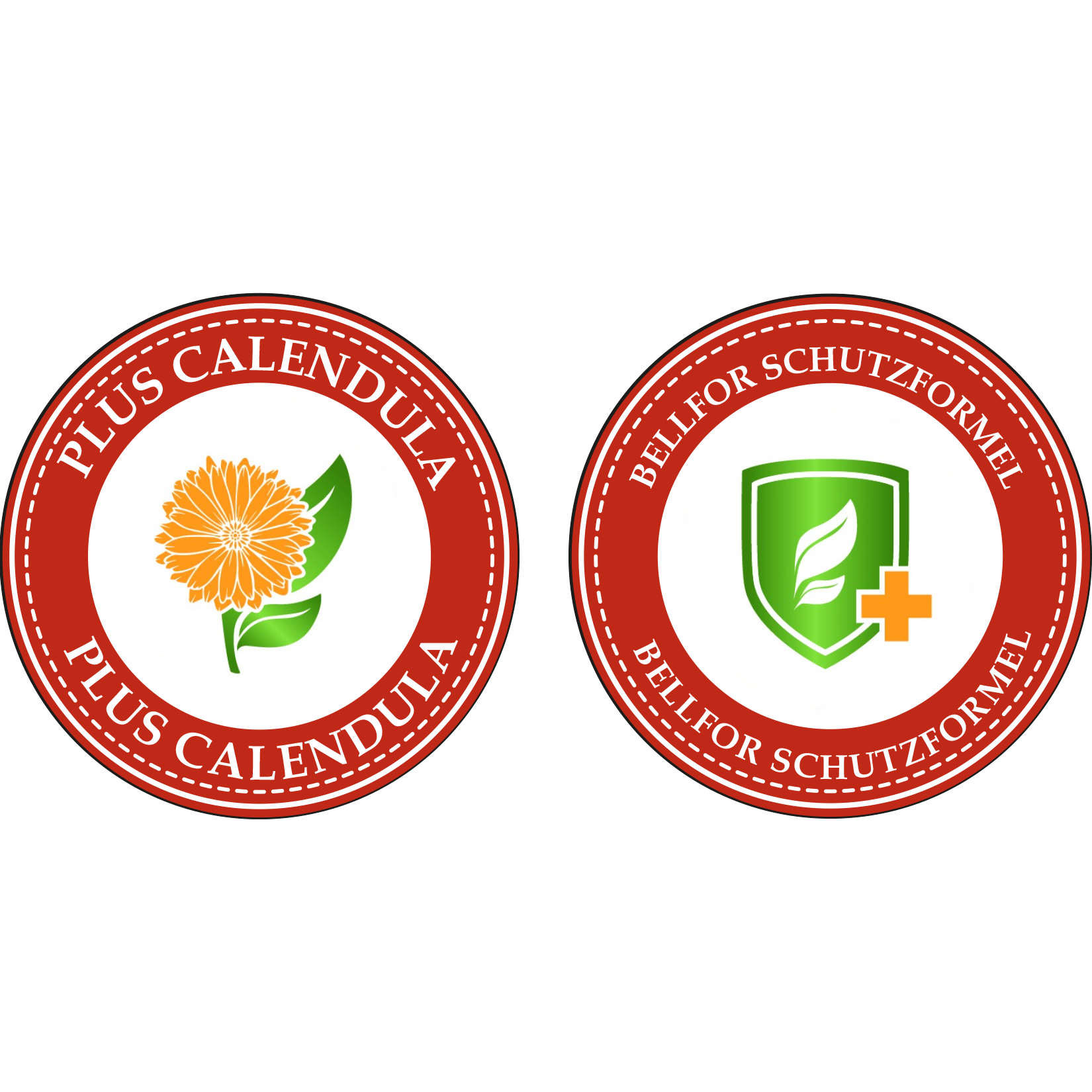 Sparset für Hunde mit Hautpilz